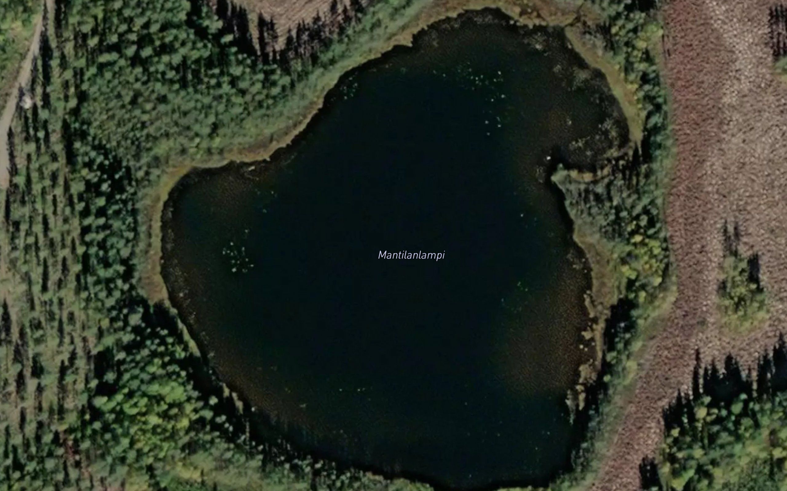 Mantilanlampi