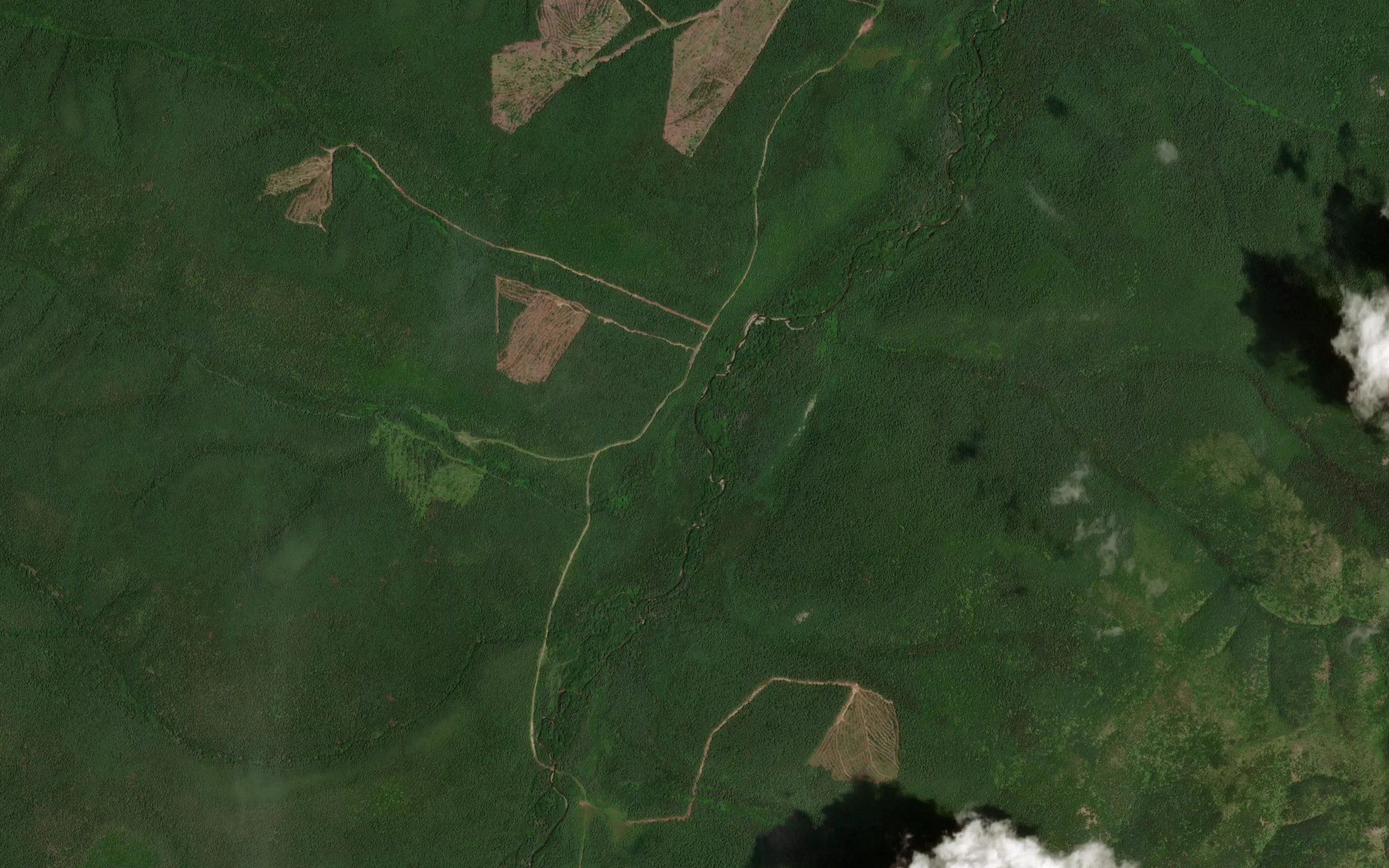 Khvoynyy