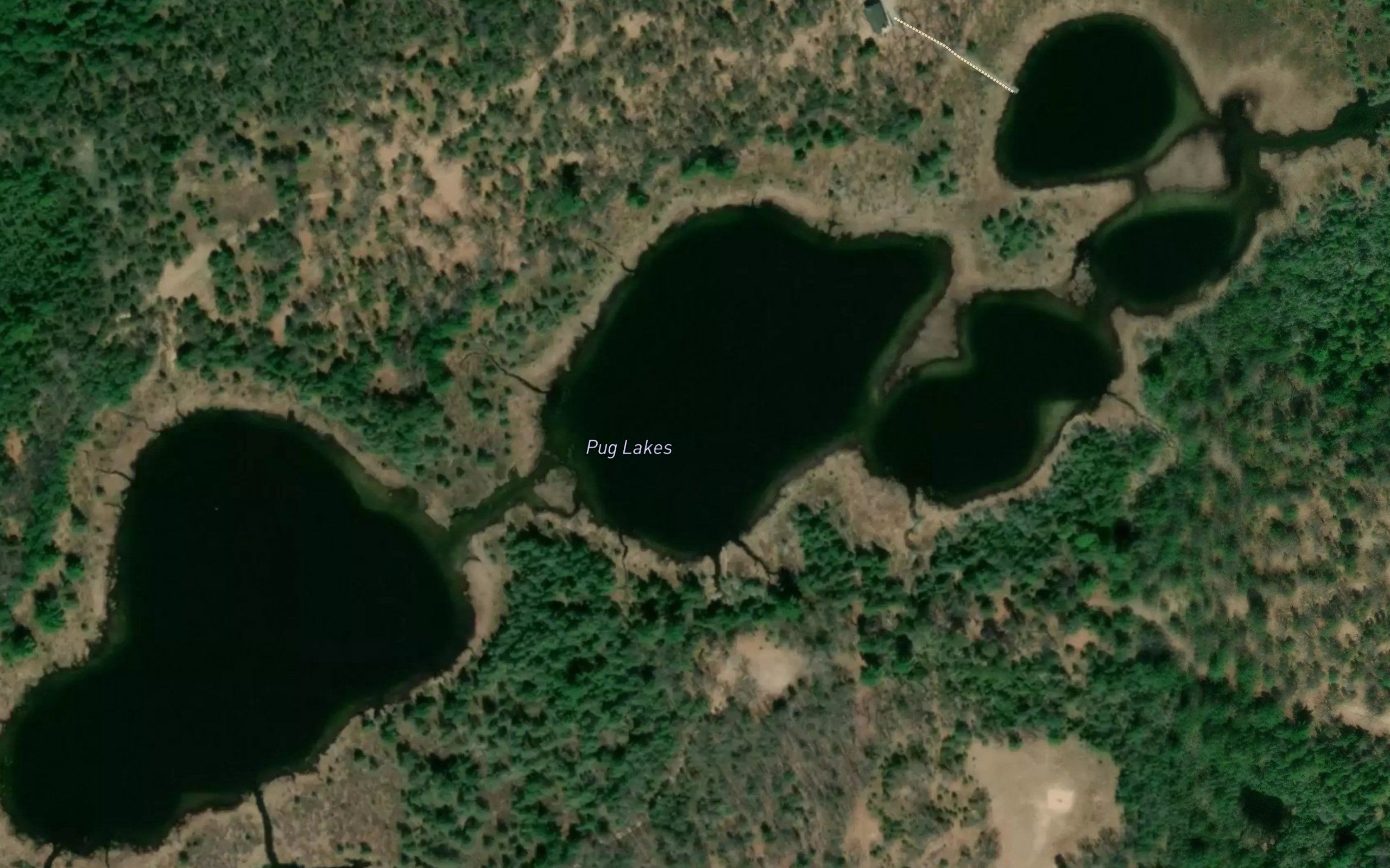 Pug Lakes