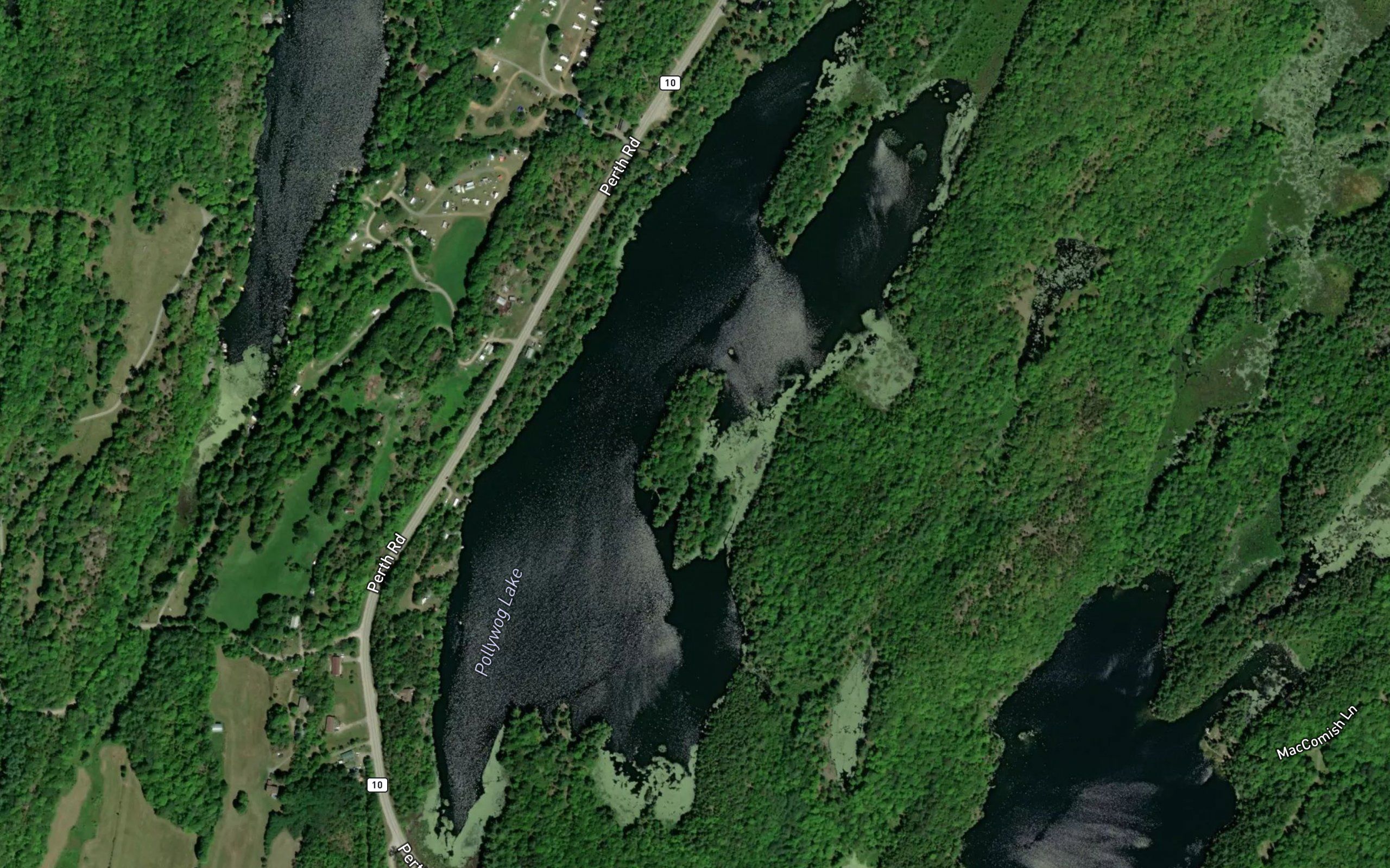 Pollywog Lake