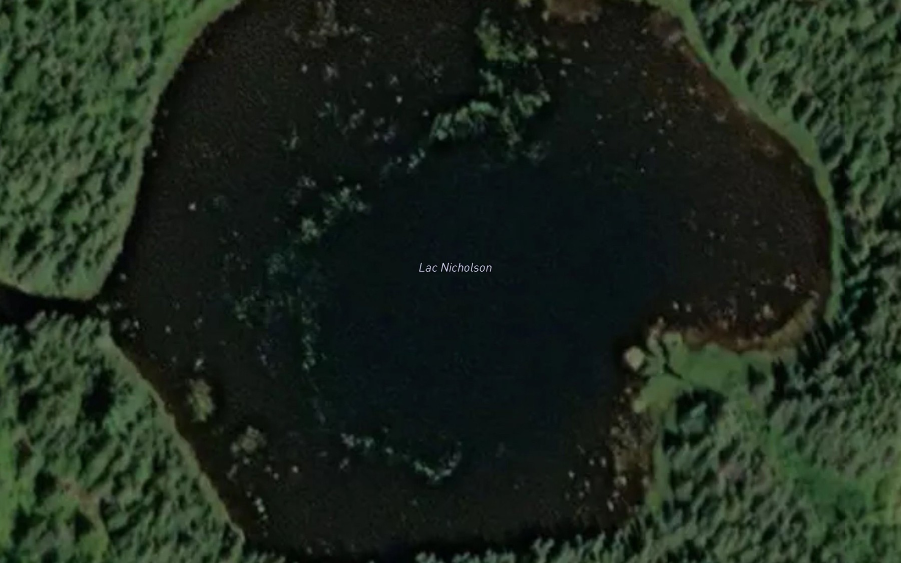 Satellite map of the Lac Nicholson