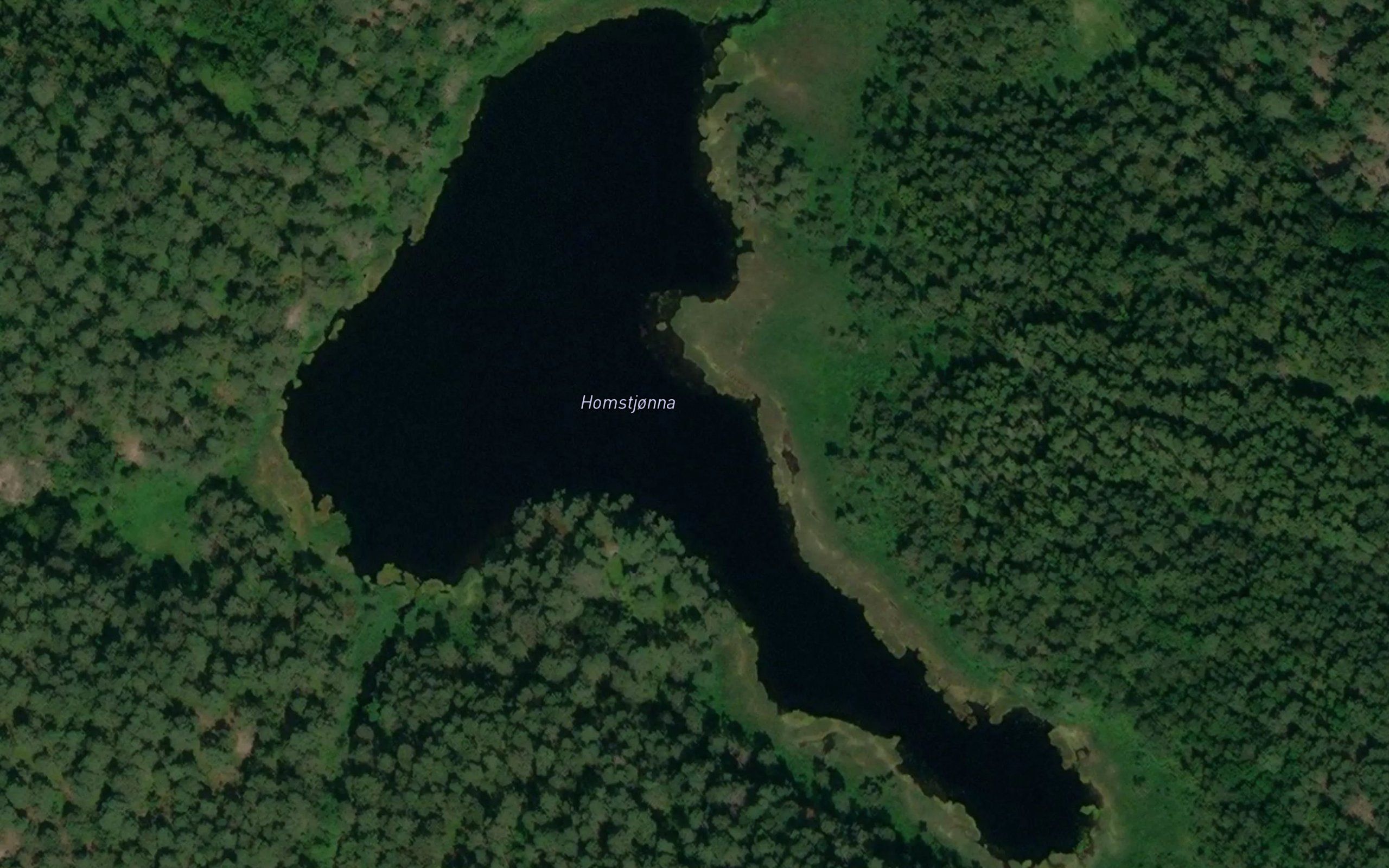 Homstjorn