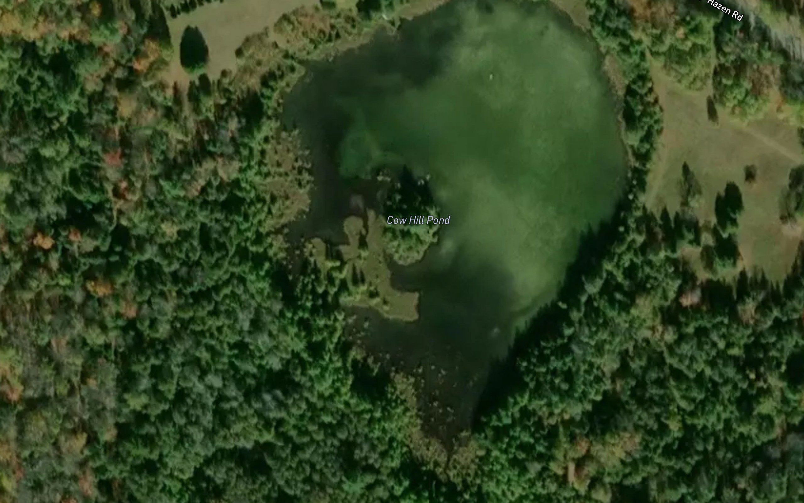 Cow Hill Pond