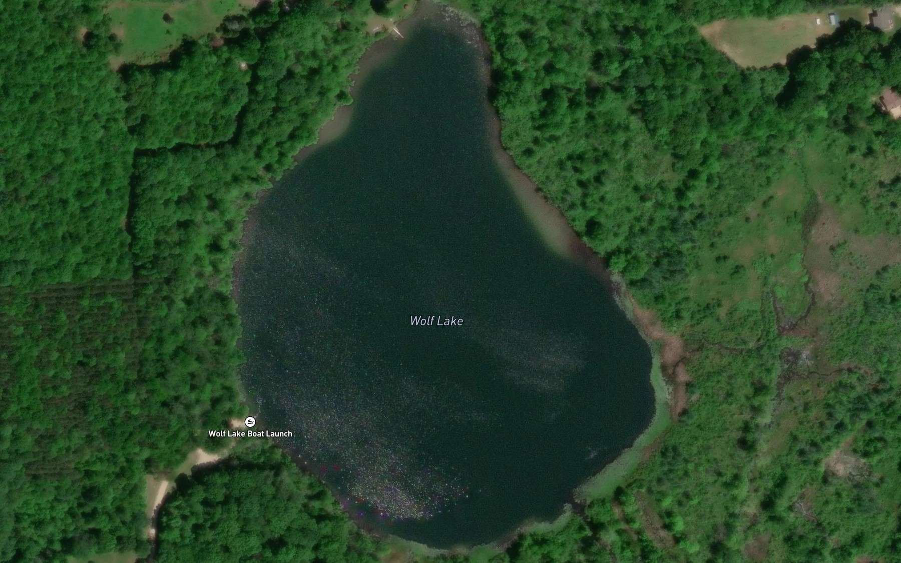 Satellite map of the Wolf Lake