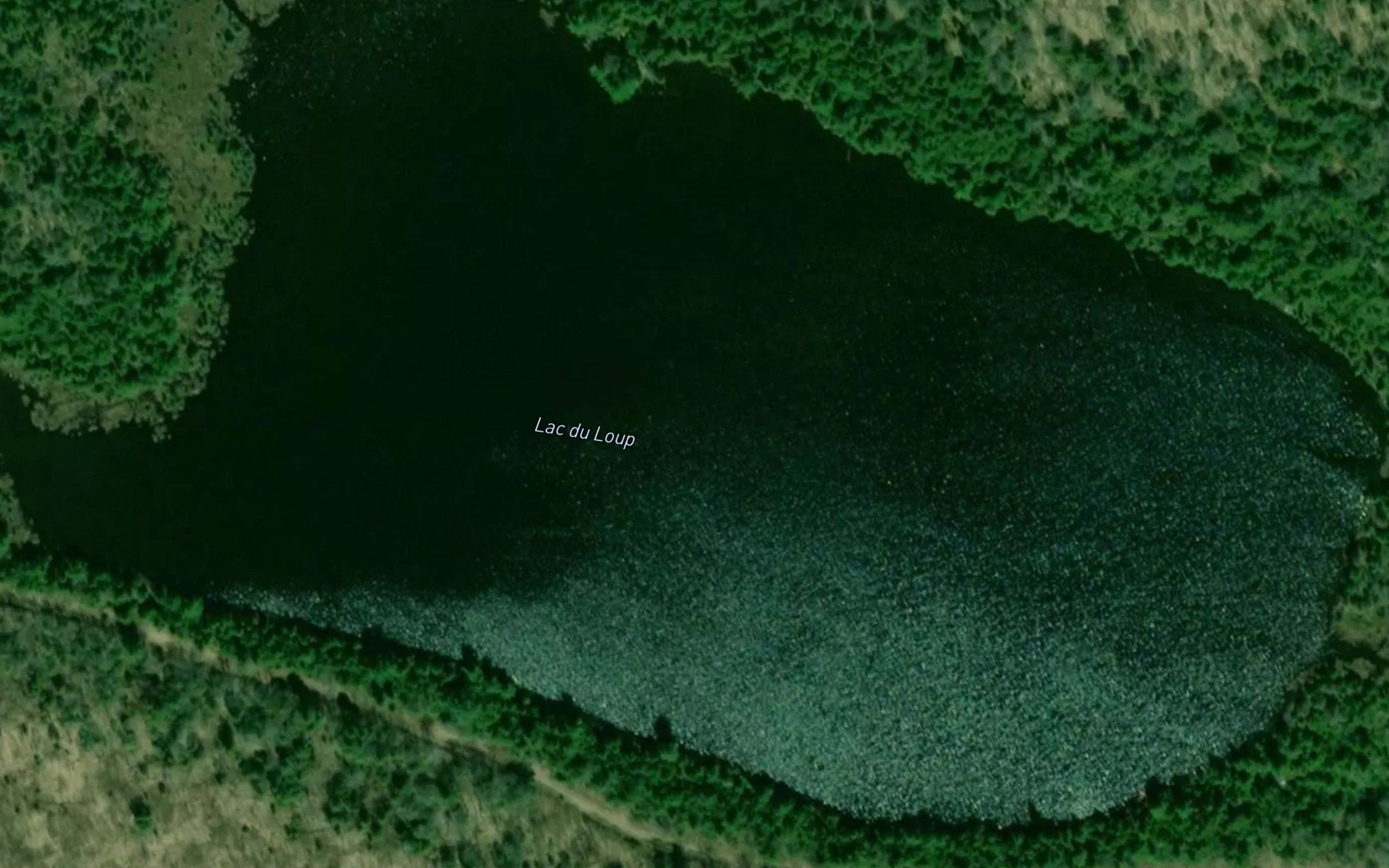 Lac du Loup