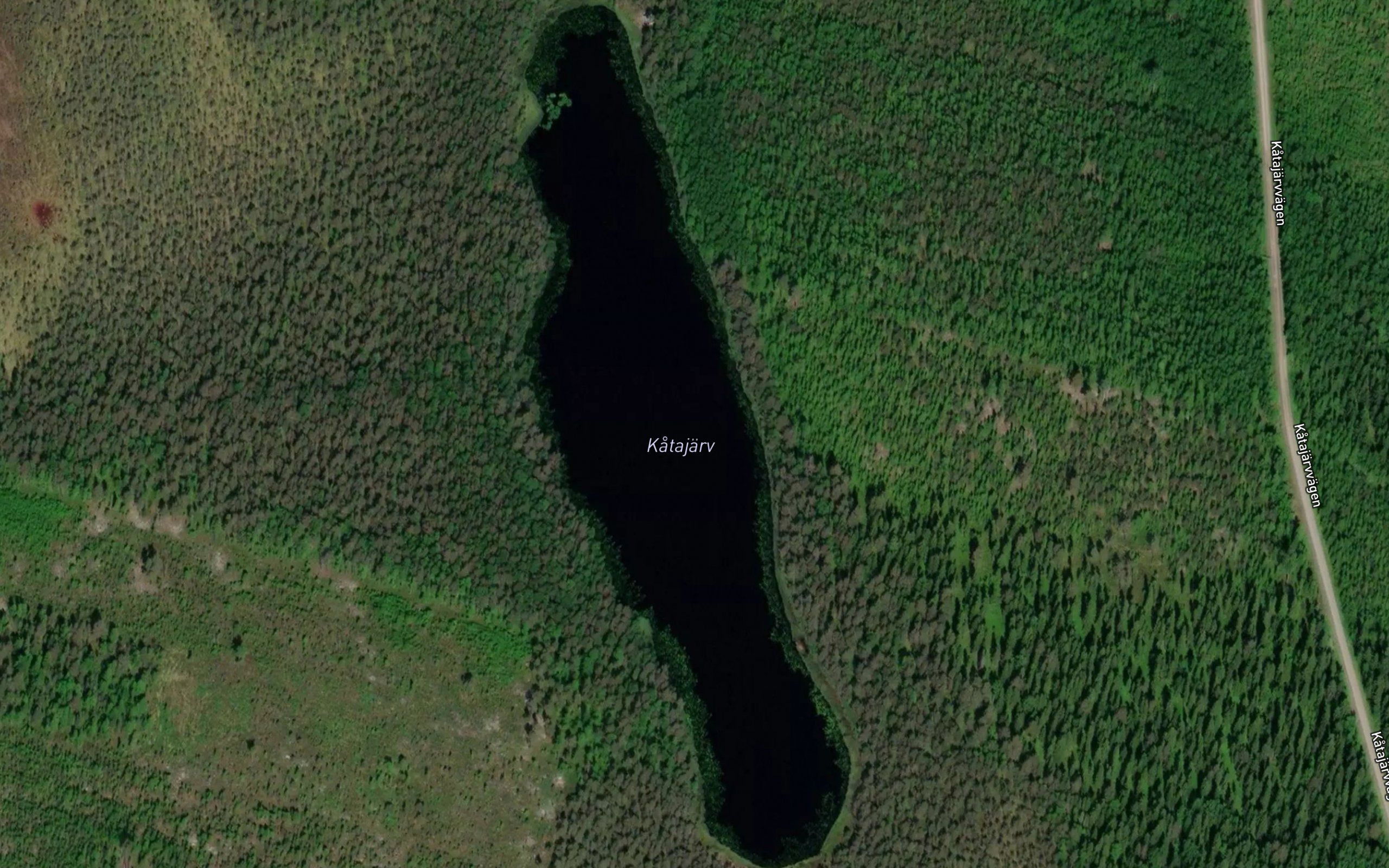 Katajarv