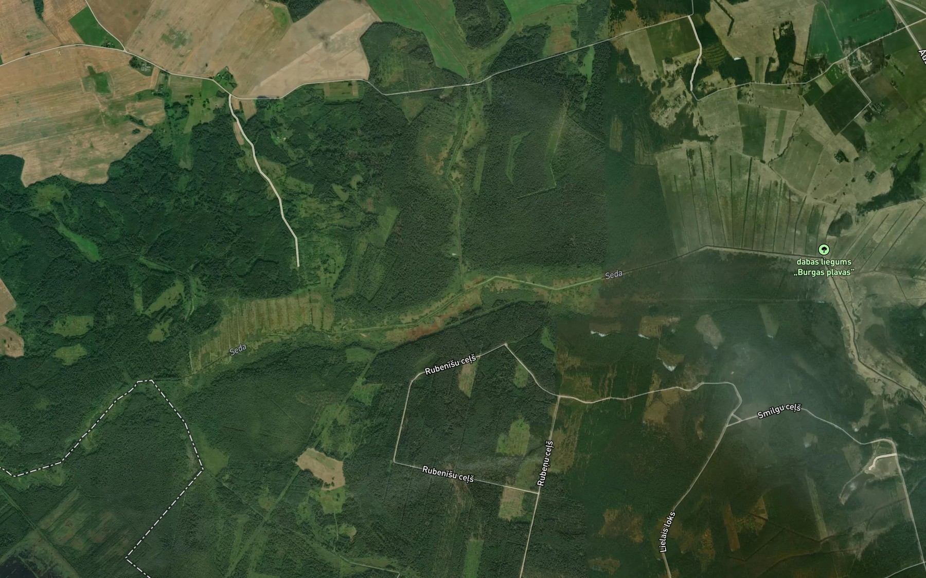 Satellite map of the Rikanda