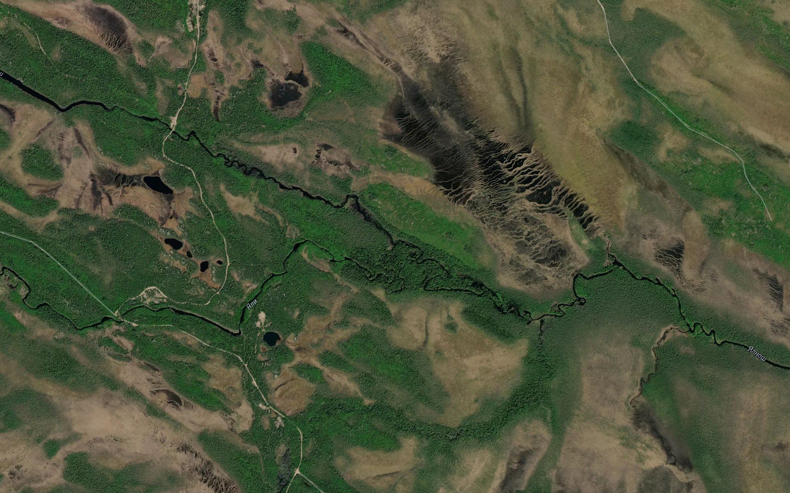 Yali