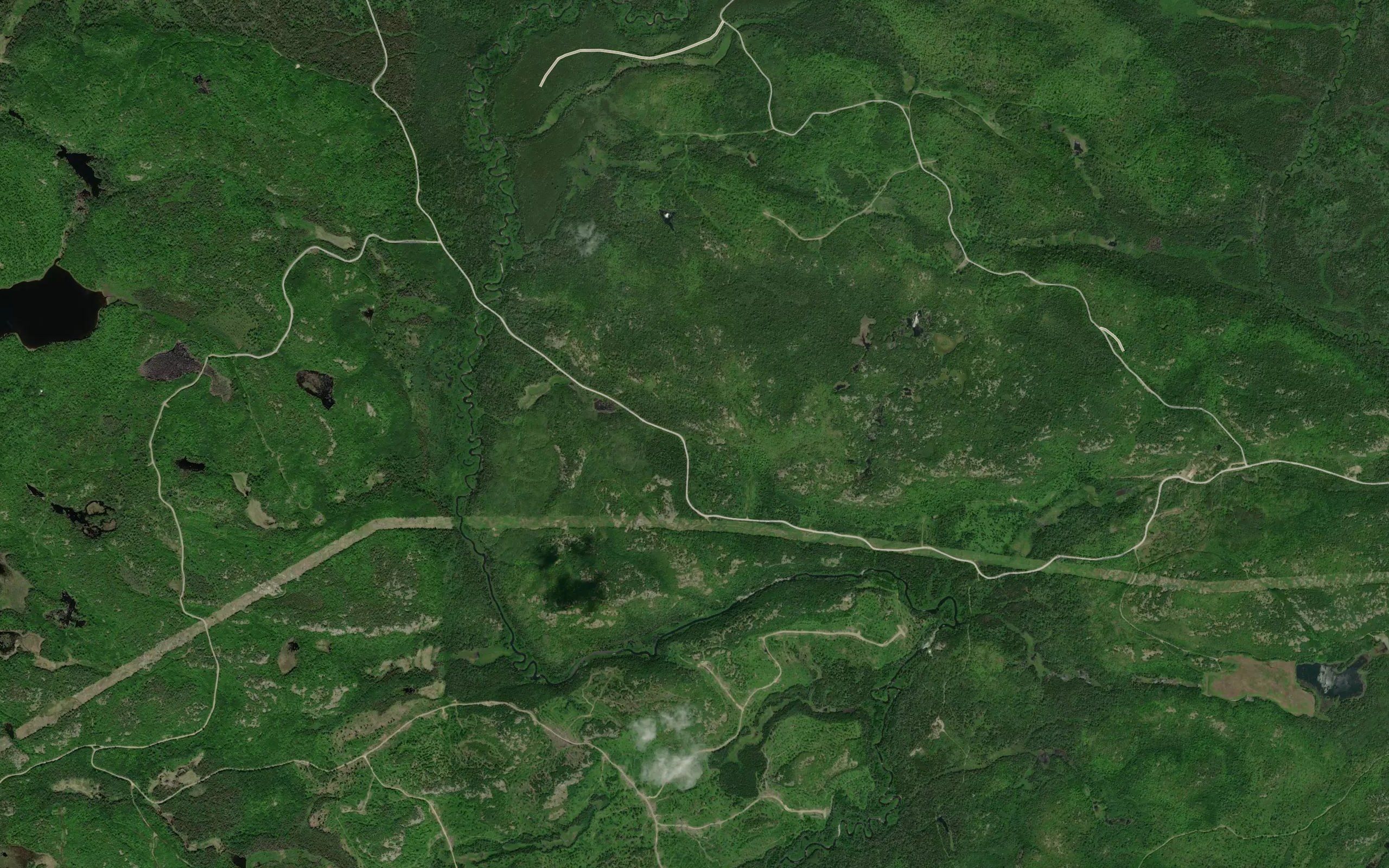 Porter Creek