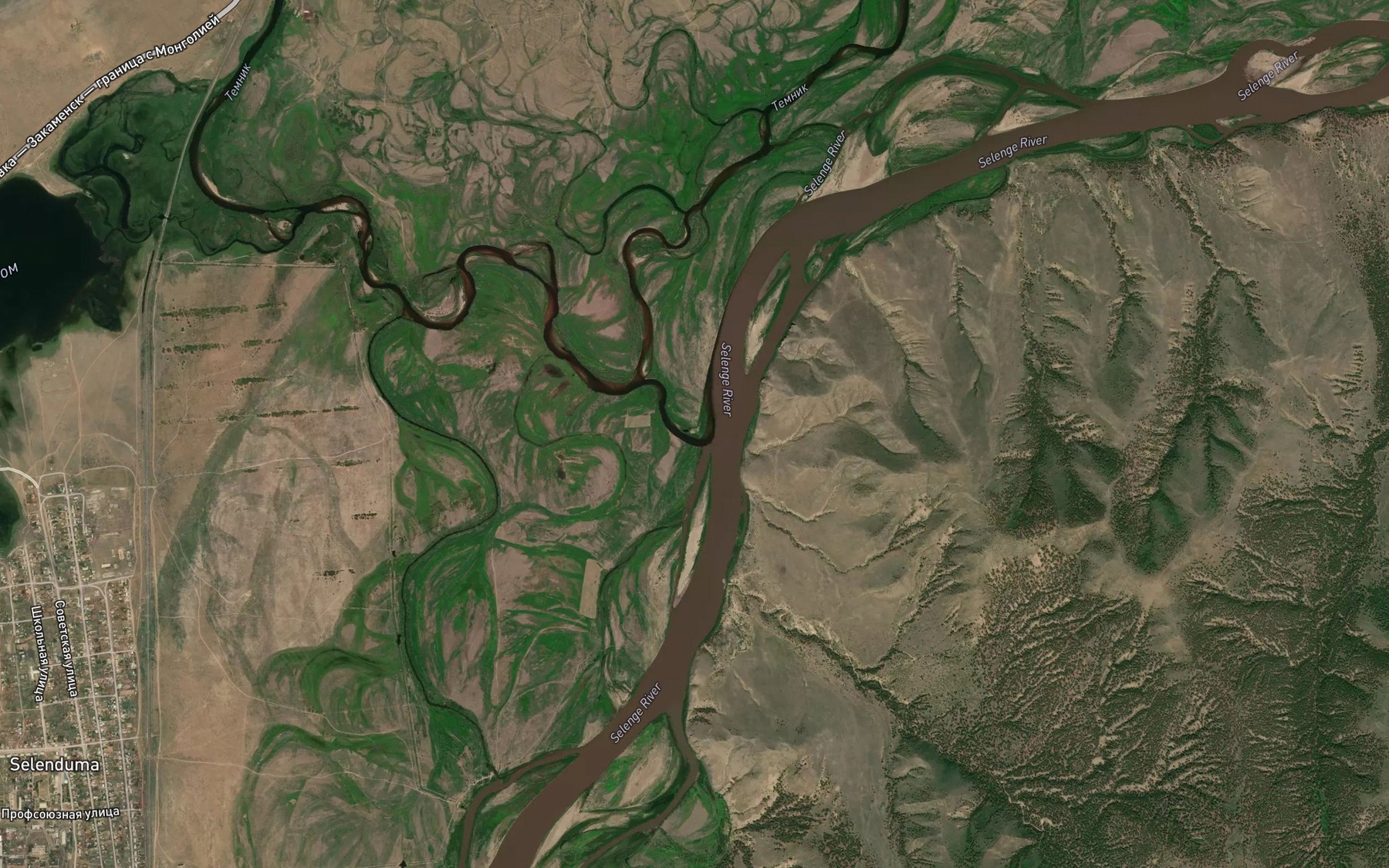 Satellite map of the Temnik