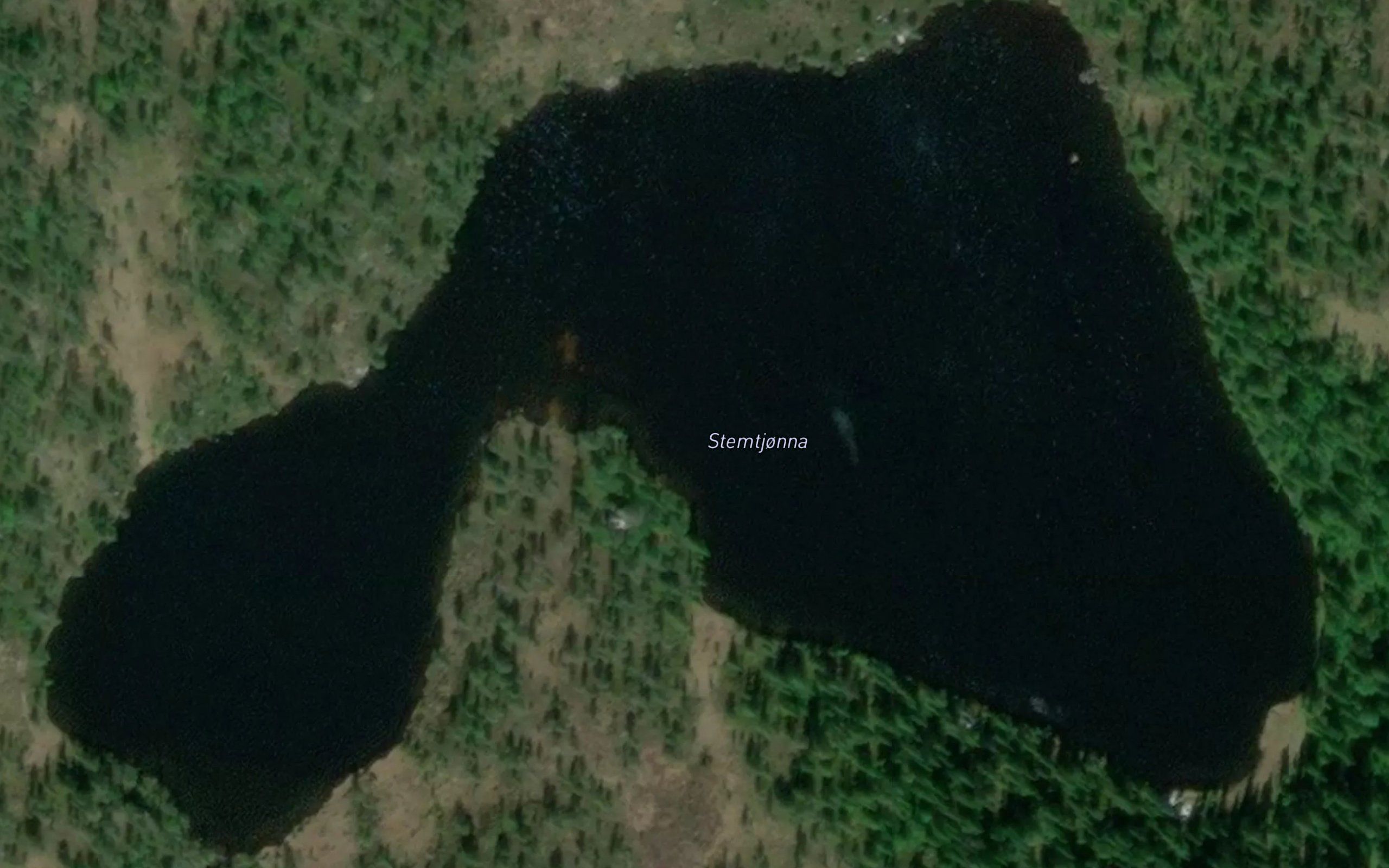 Stemtjorna