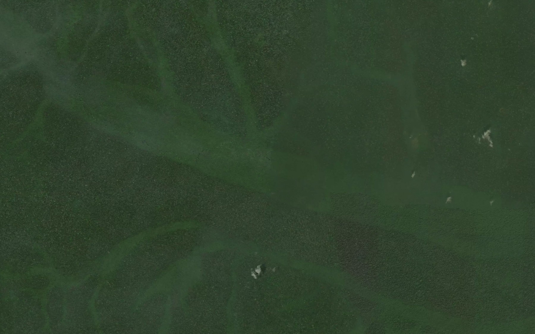 Satellite map of the Mossoui