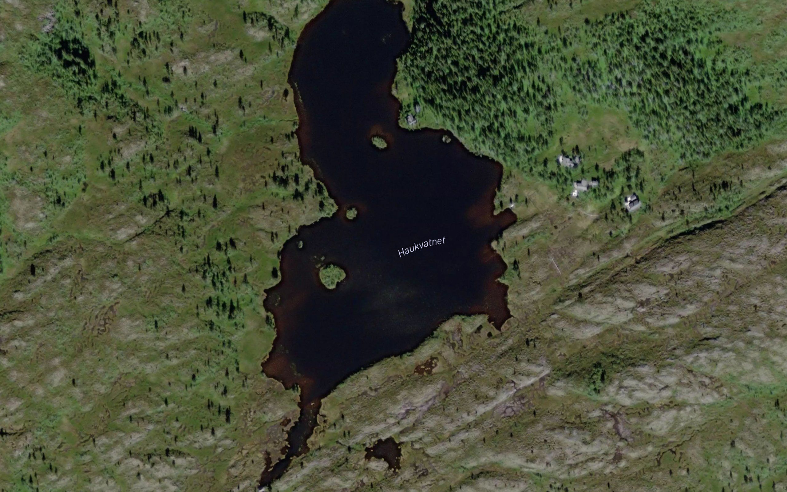 Haukvatnet