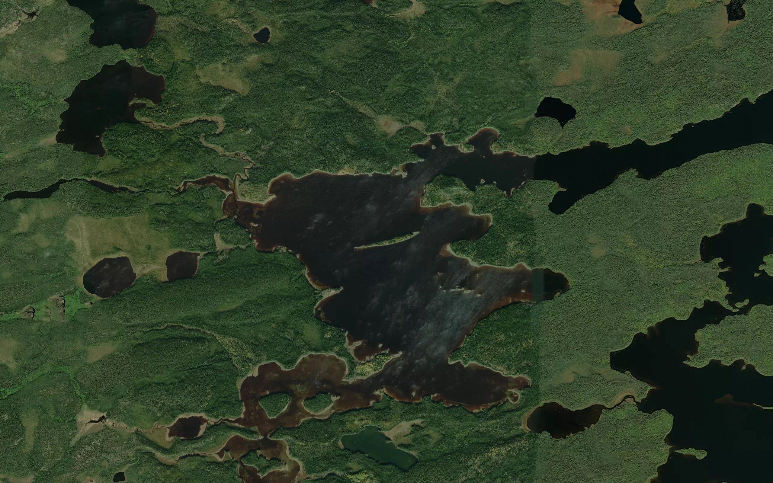 Jasmin Bay