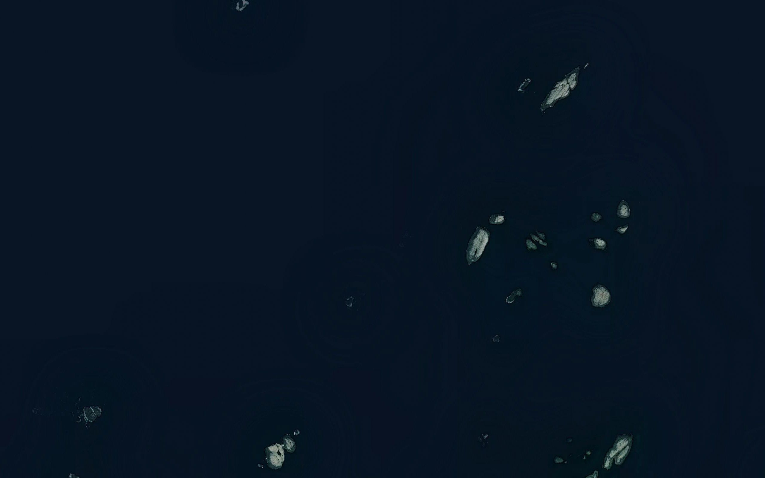 Skakbaen