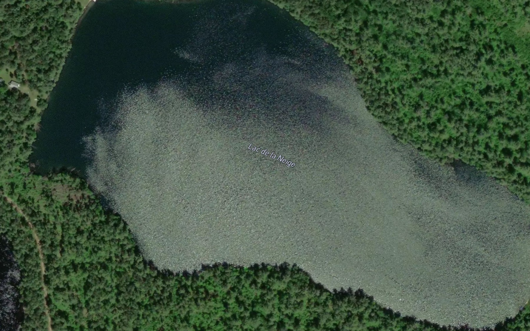 Satellite map of the Lac de la Neige