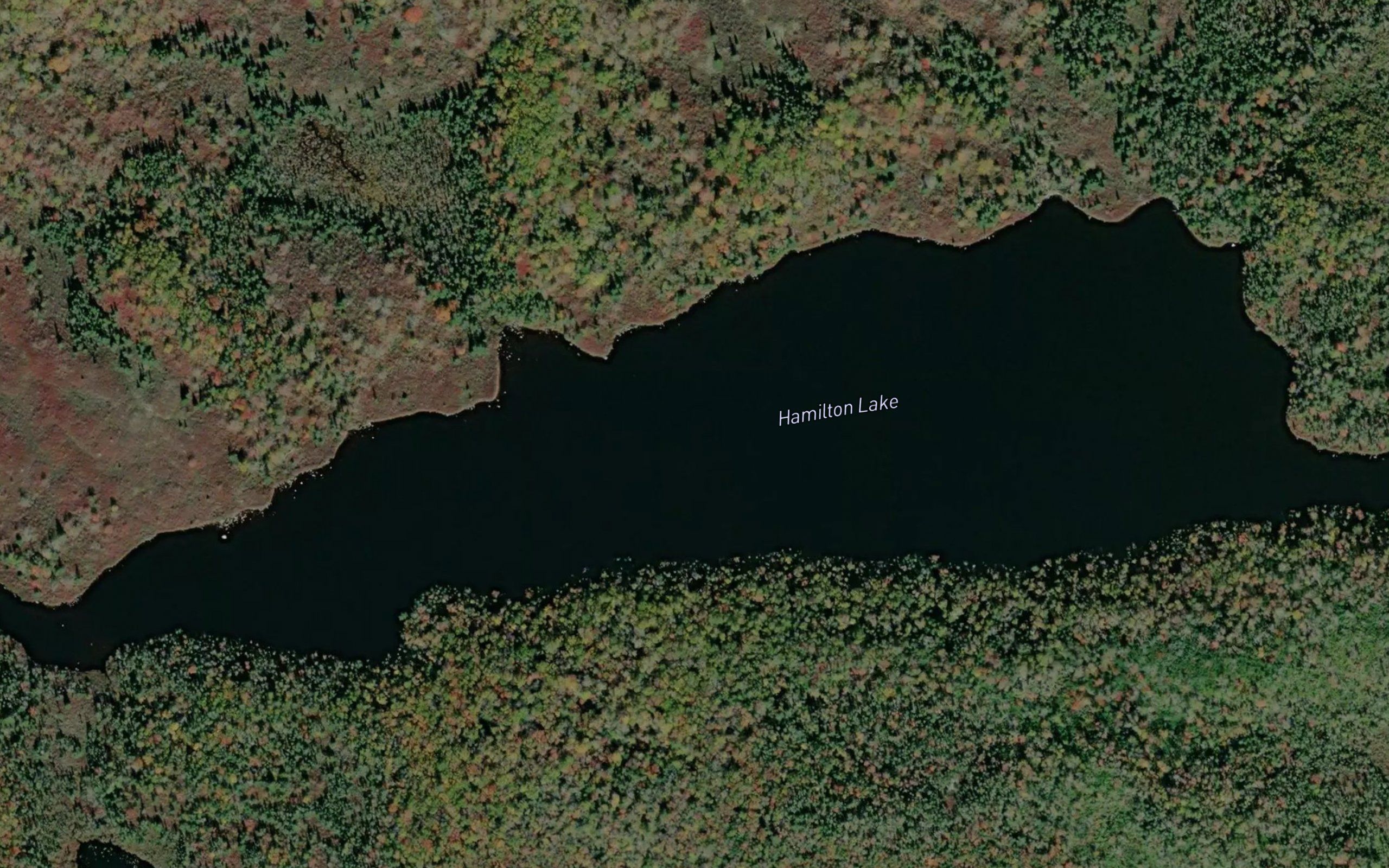 Hamilton Lake