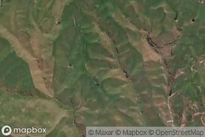 Makokomiko East Stream