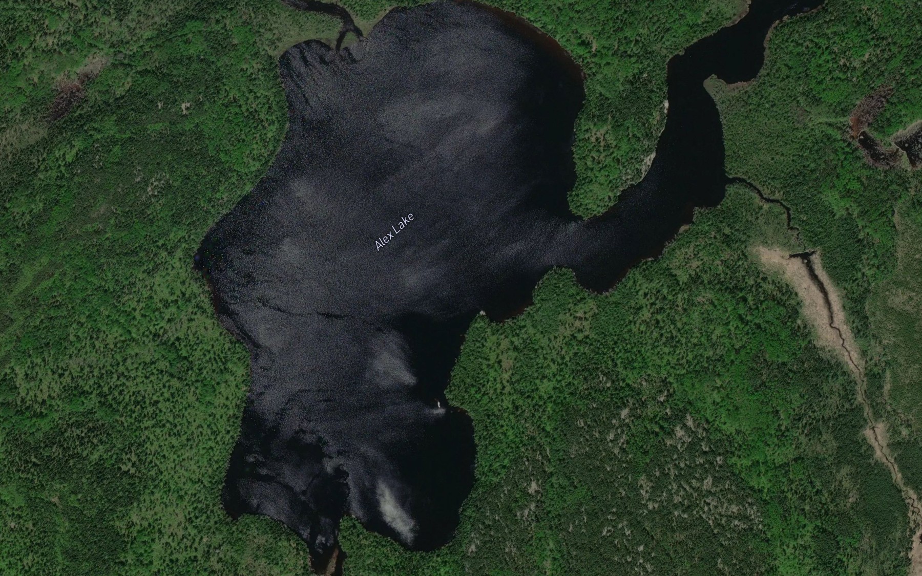 Satellite map of the Alex Lake