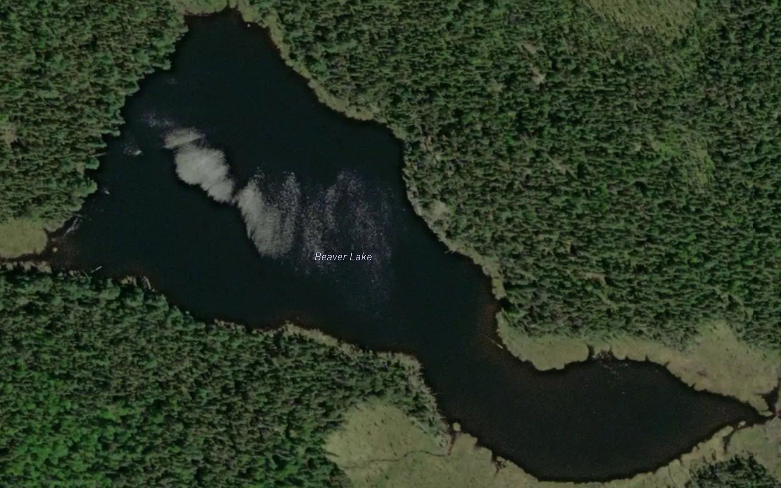 Beaver Lake