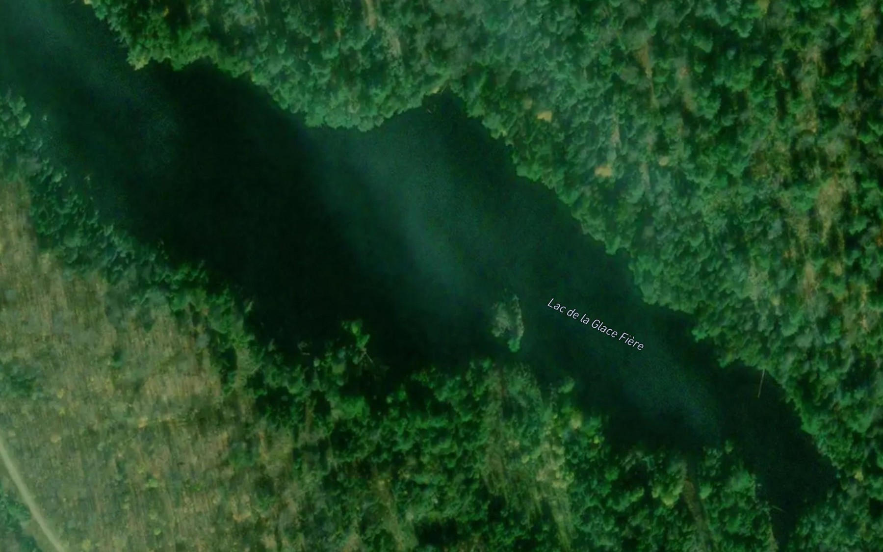Satellite map of the Lac de la Glace Fiere