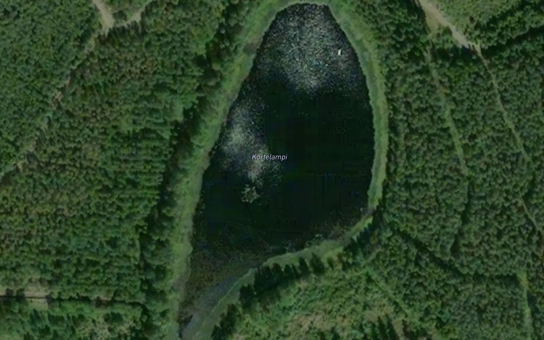 Satellite map of the Kortelampi