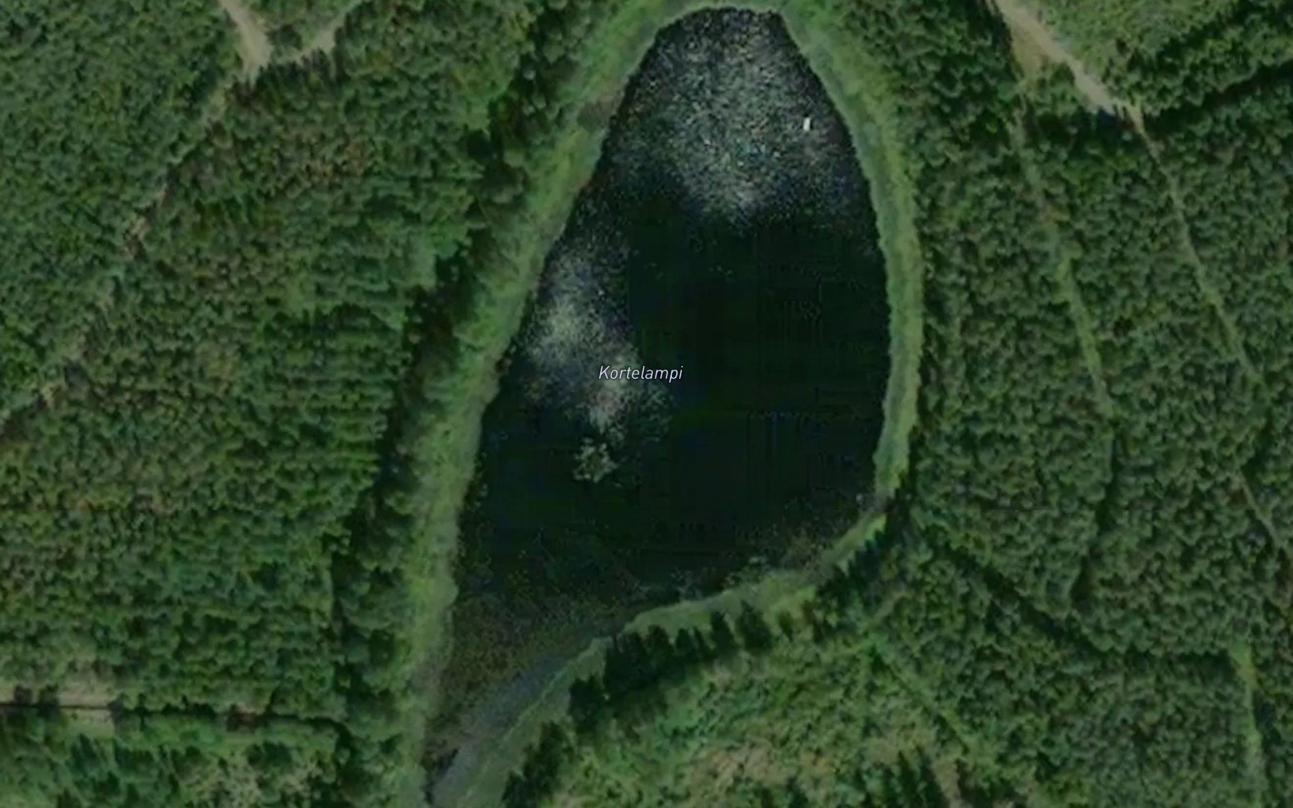 Kortelampi