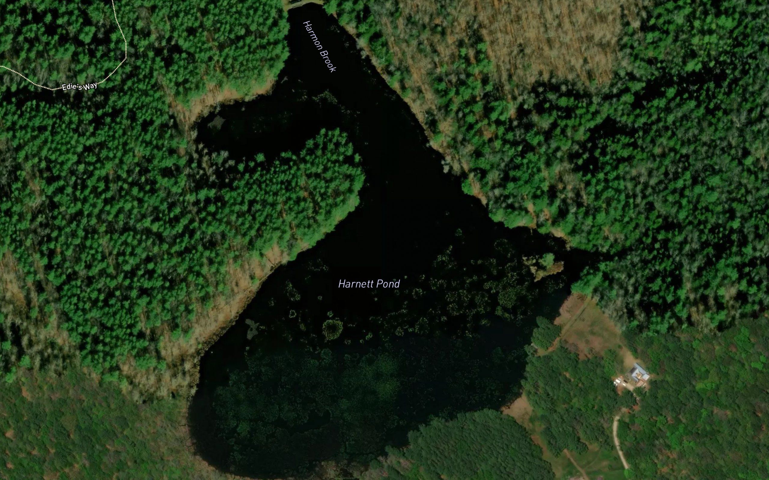Harnett Pond