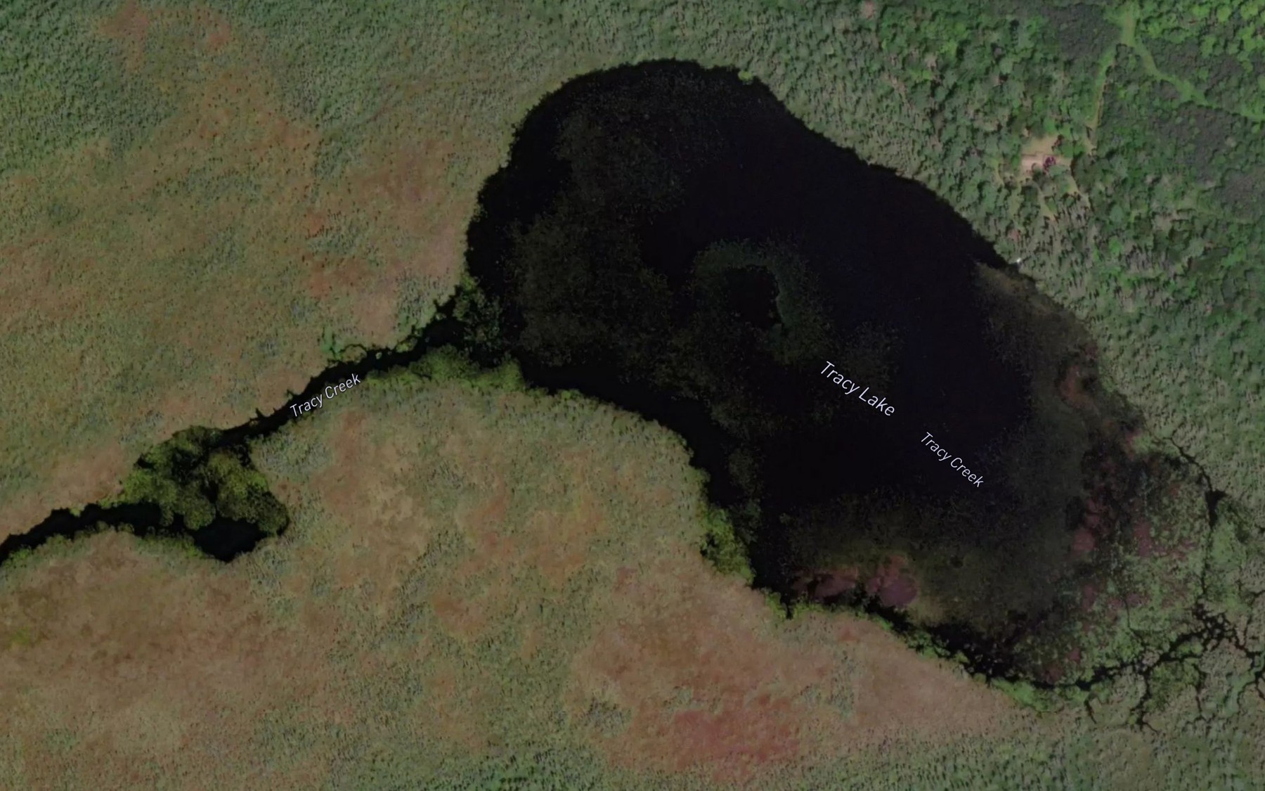 Satellite map of the Tracy Lake