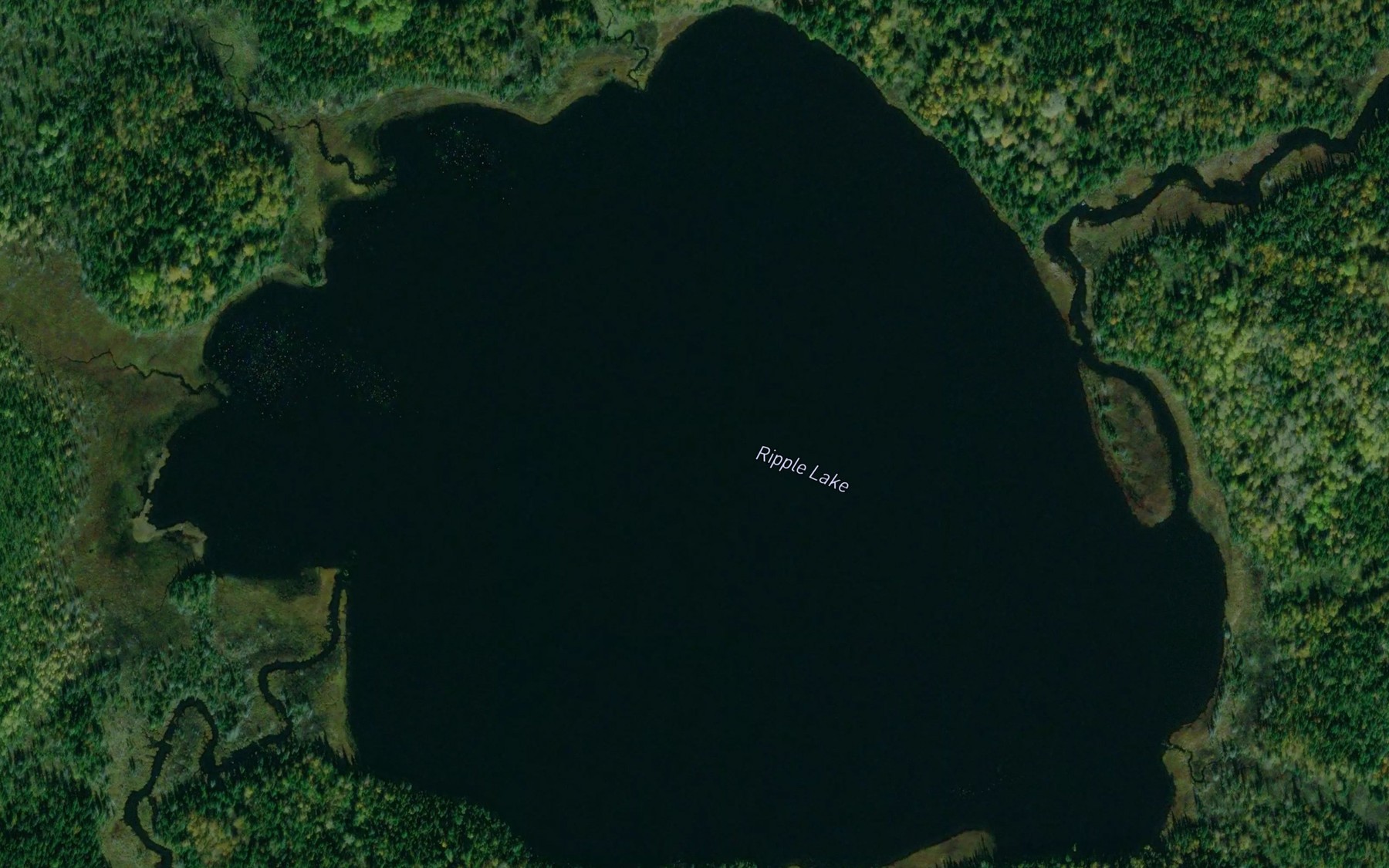 Satellite map of the Ripple Lake