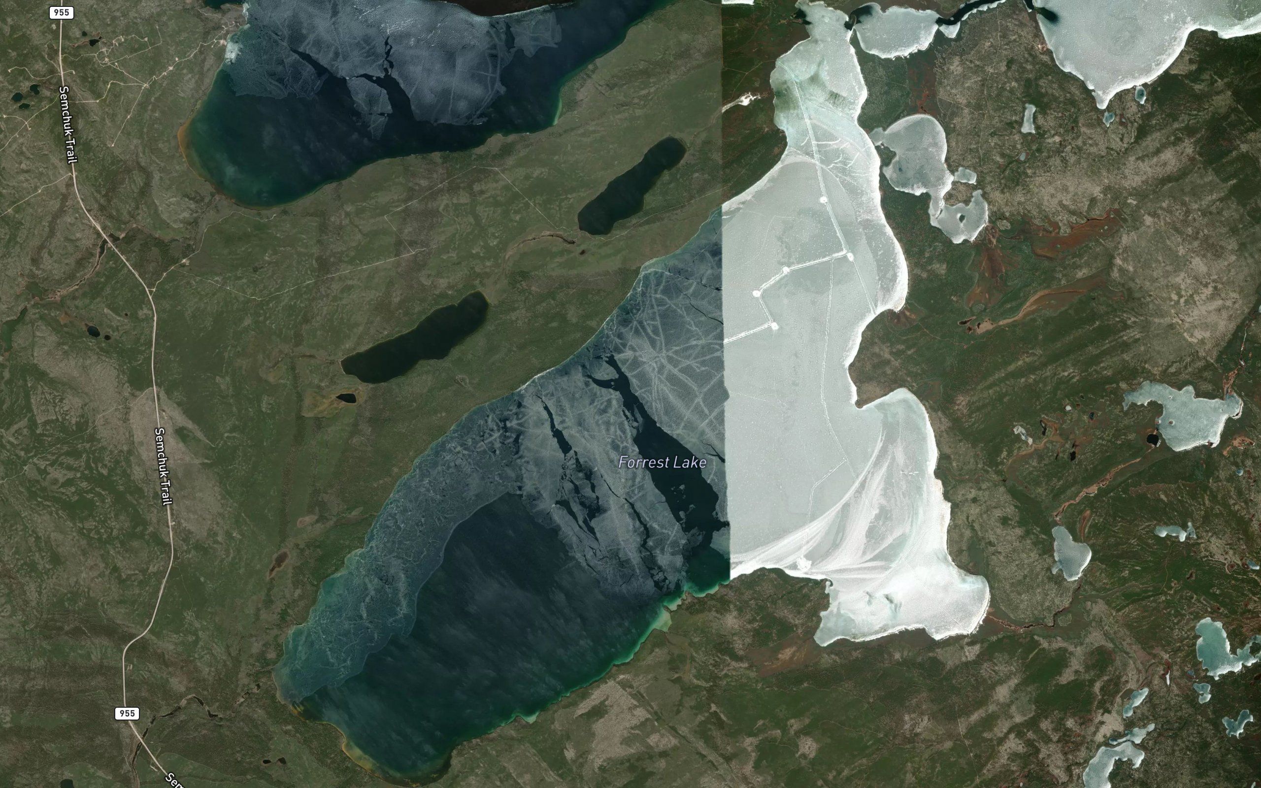 Forrest Lake