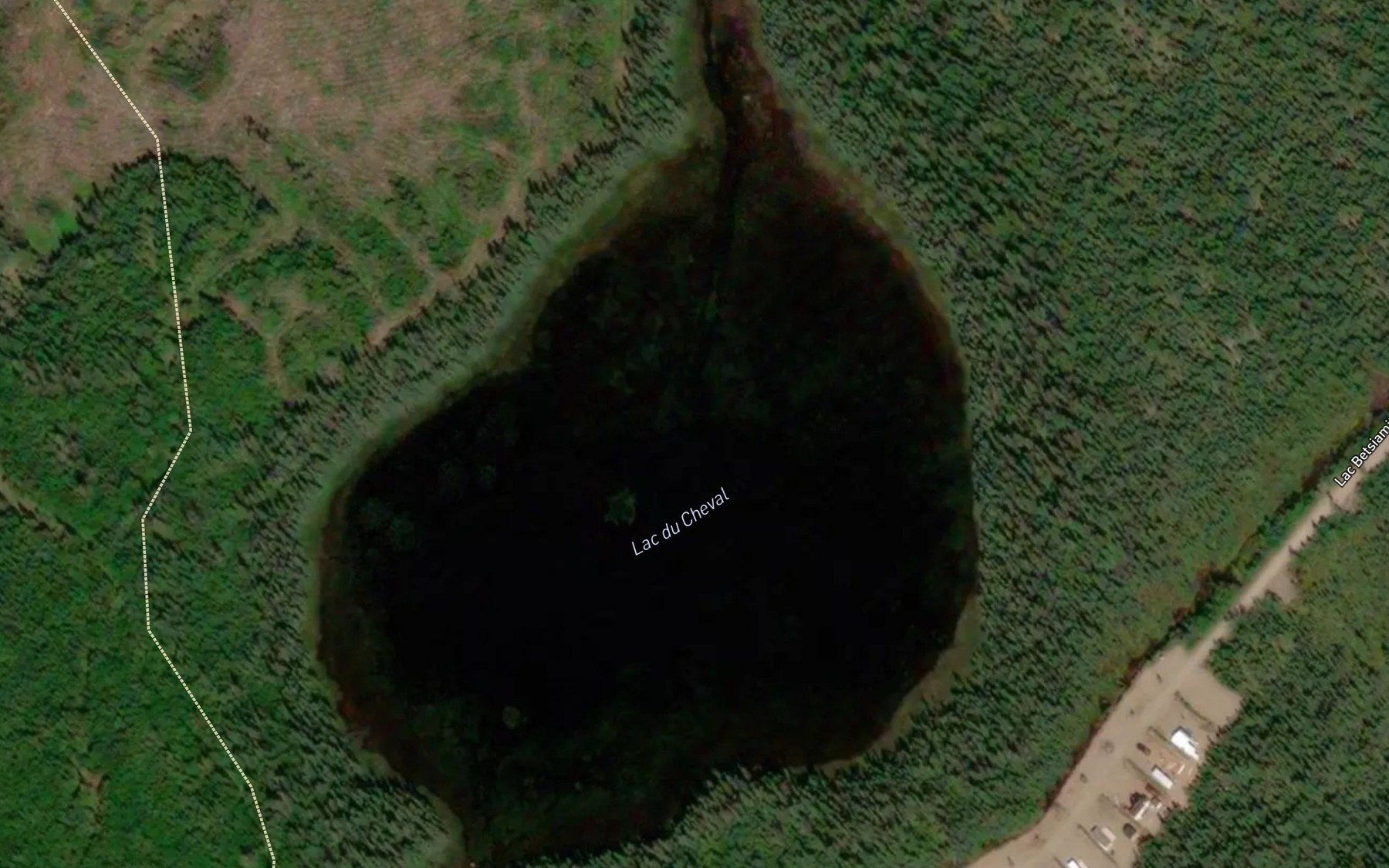 Satellite map of the Lac du Cheval
