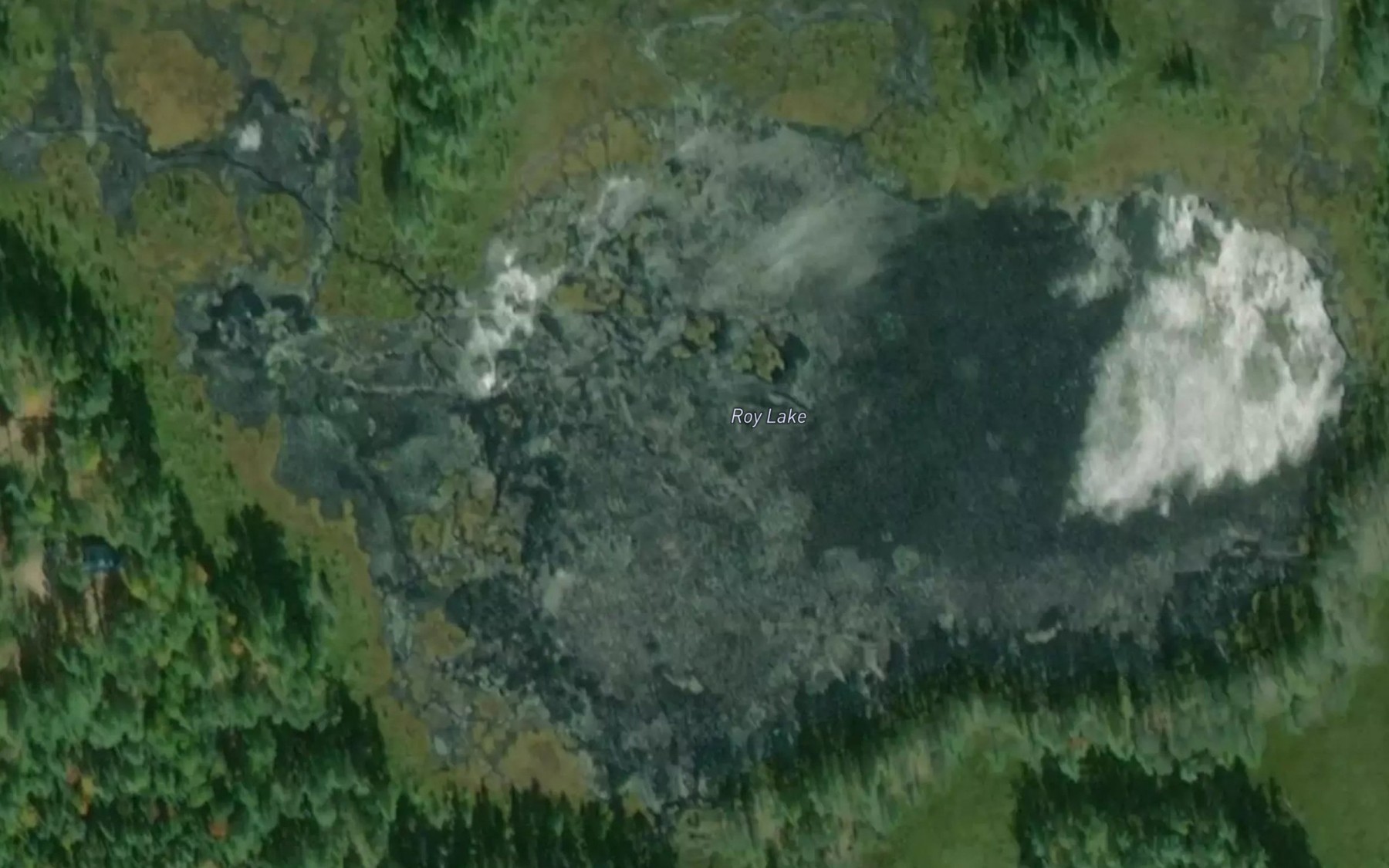 Satellite map of the Roy Lake