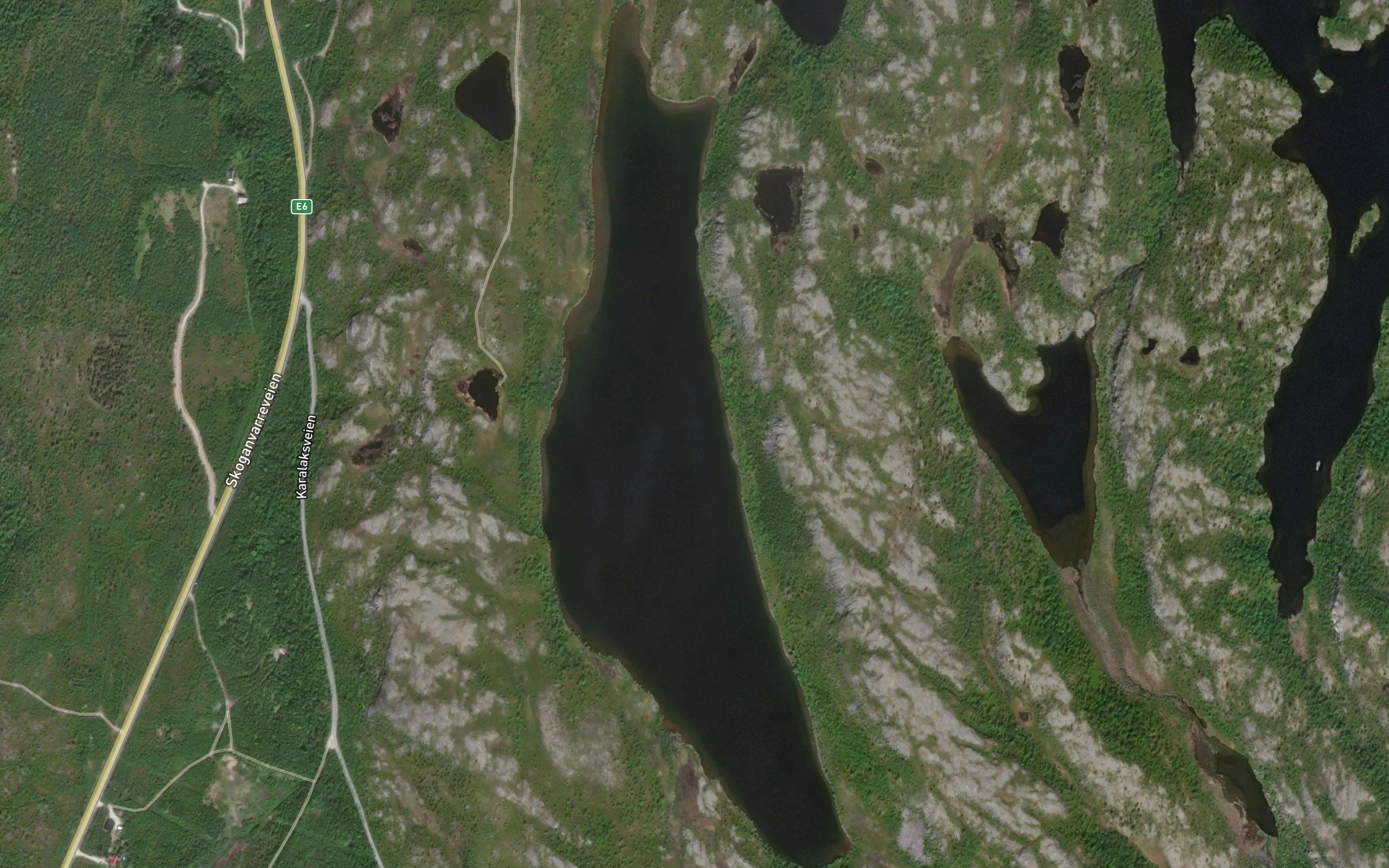 Barsejavri,gukkes