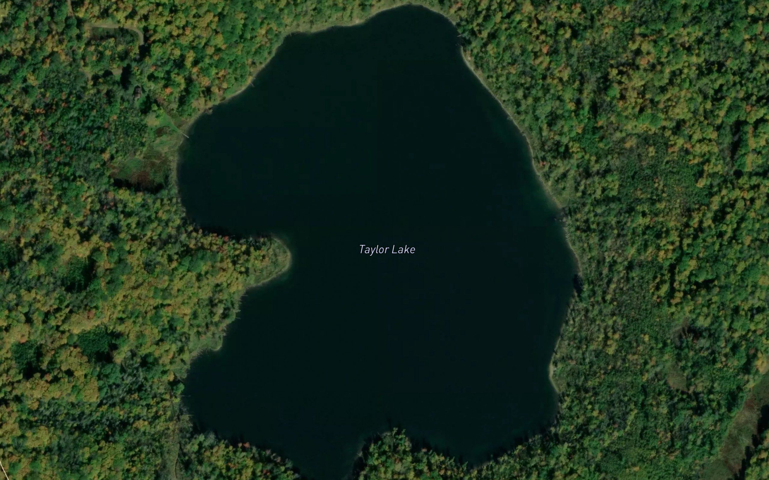 Taylor Lake