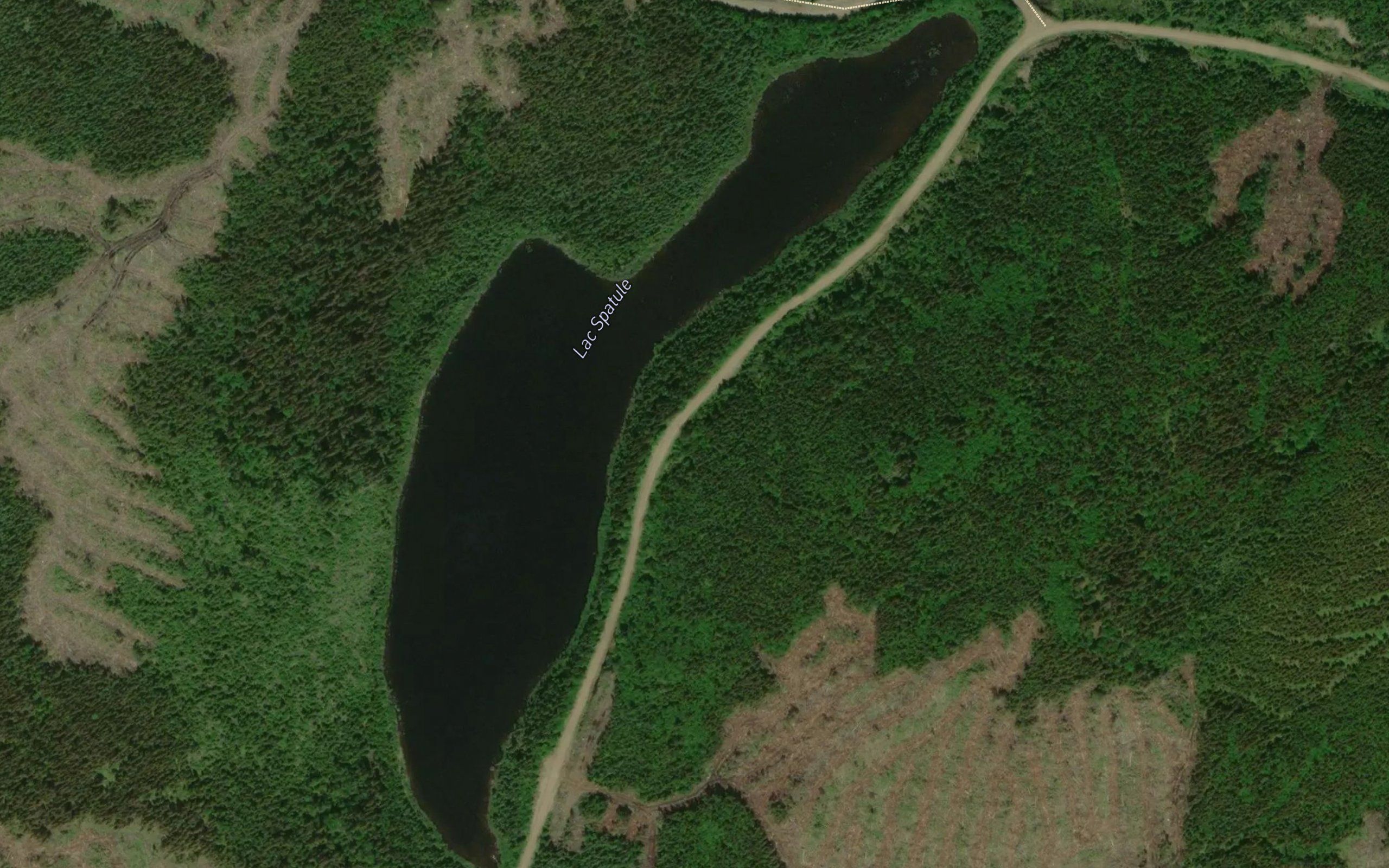 Lac Spatule
