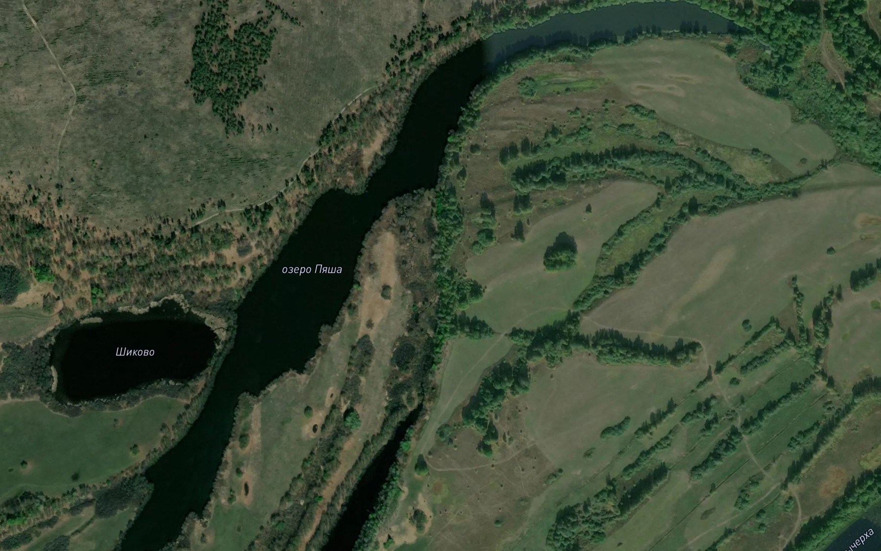 Satellite map of the Ozero Pyasha