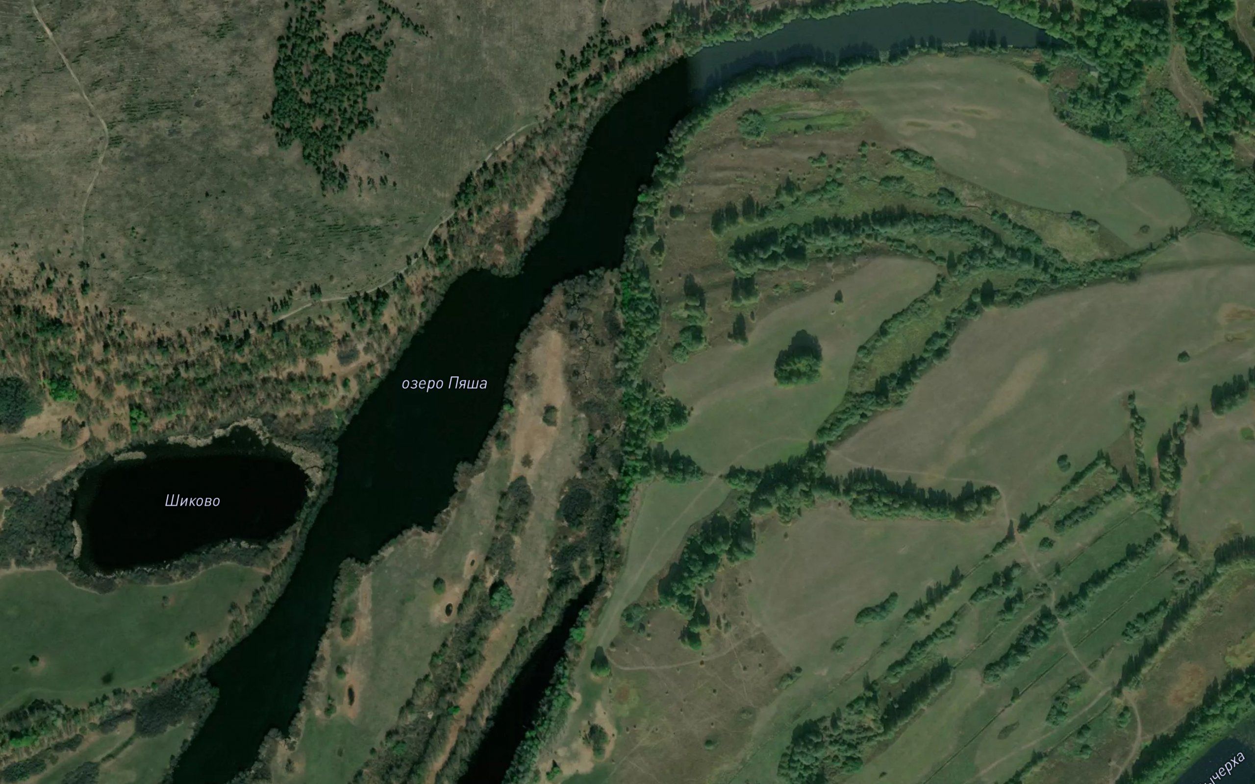 Ozero Pyasha