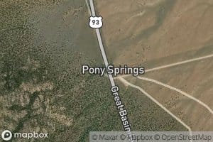 Pony Spring
