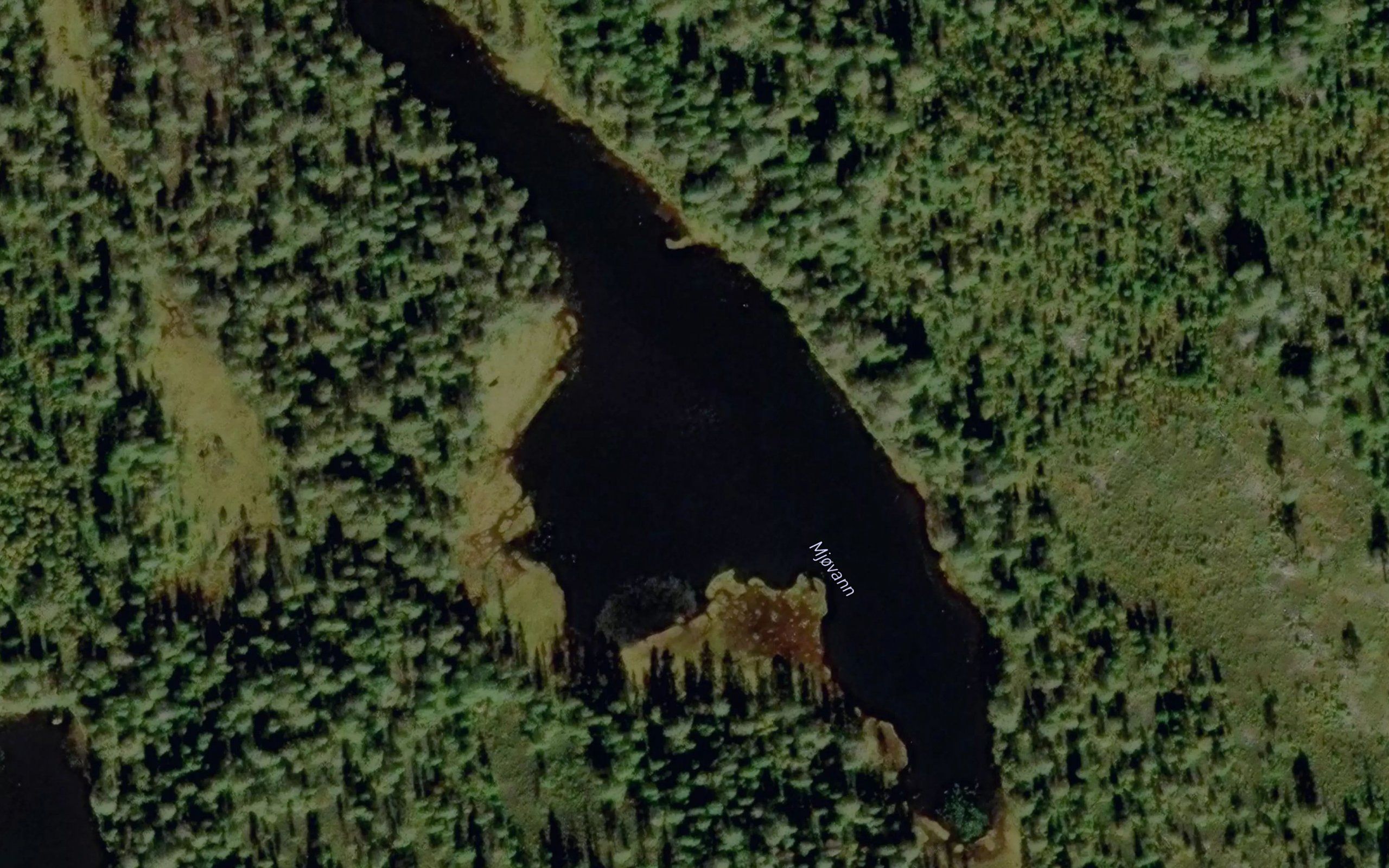 Mjovann
