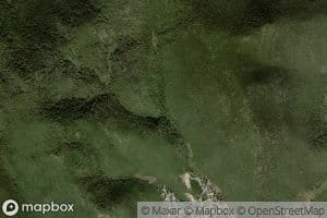 Canada Rosa Amarilla