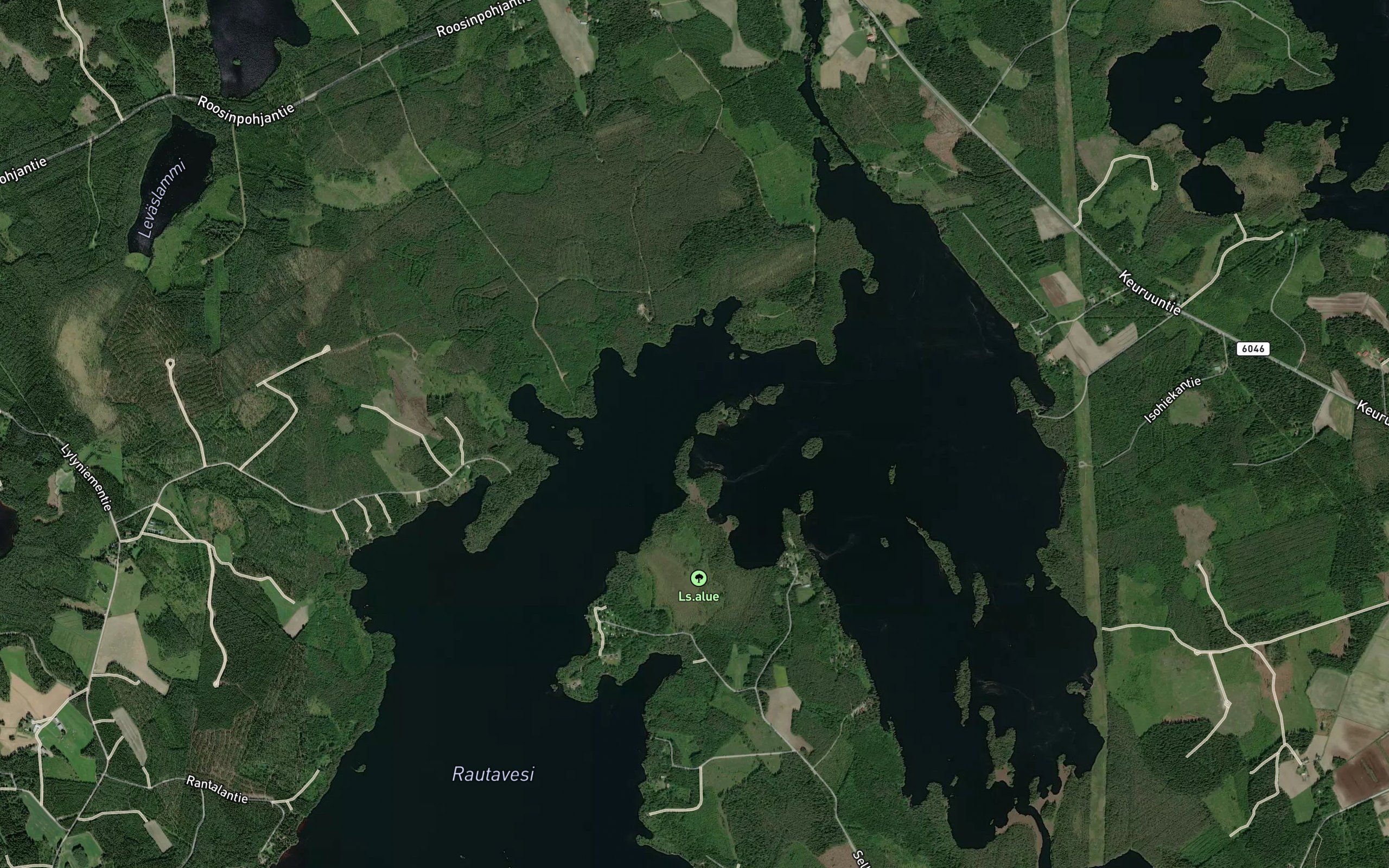 Kitusalmi