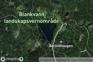 Blankvann
