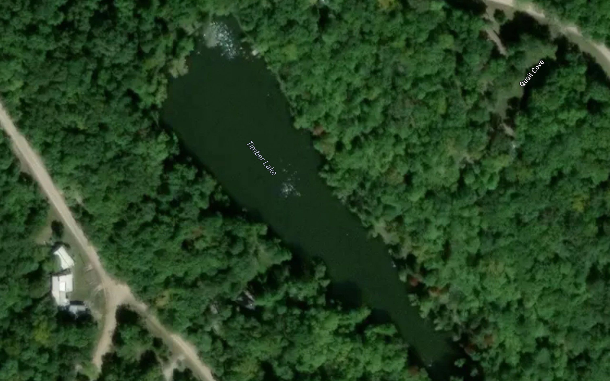 Timber Lake