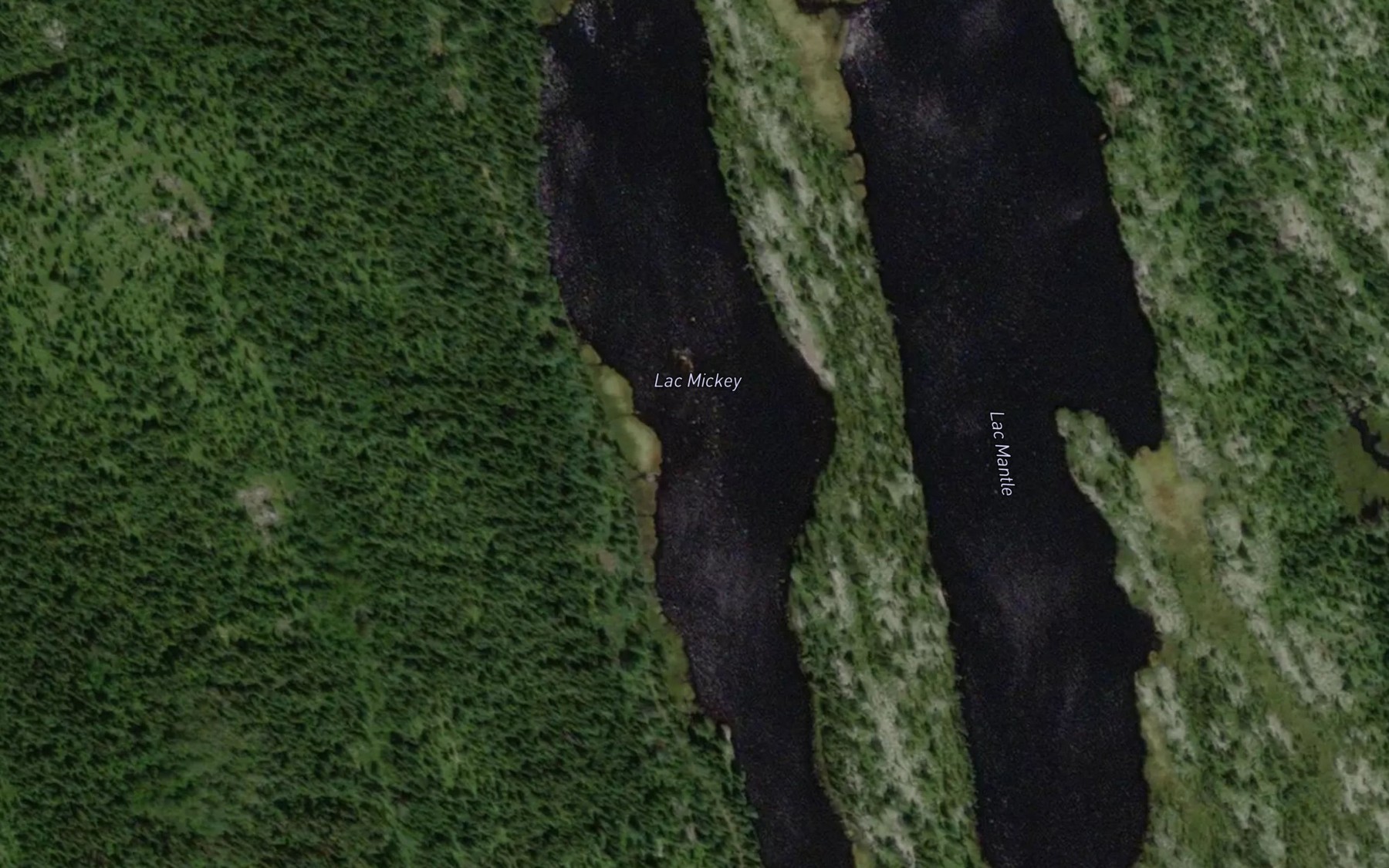 Satellite map of the Lac Mickey