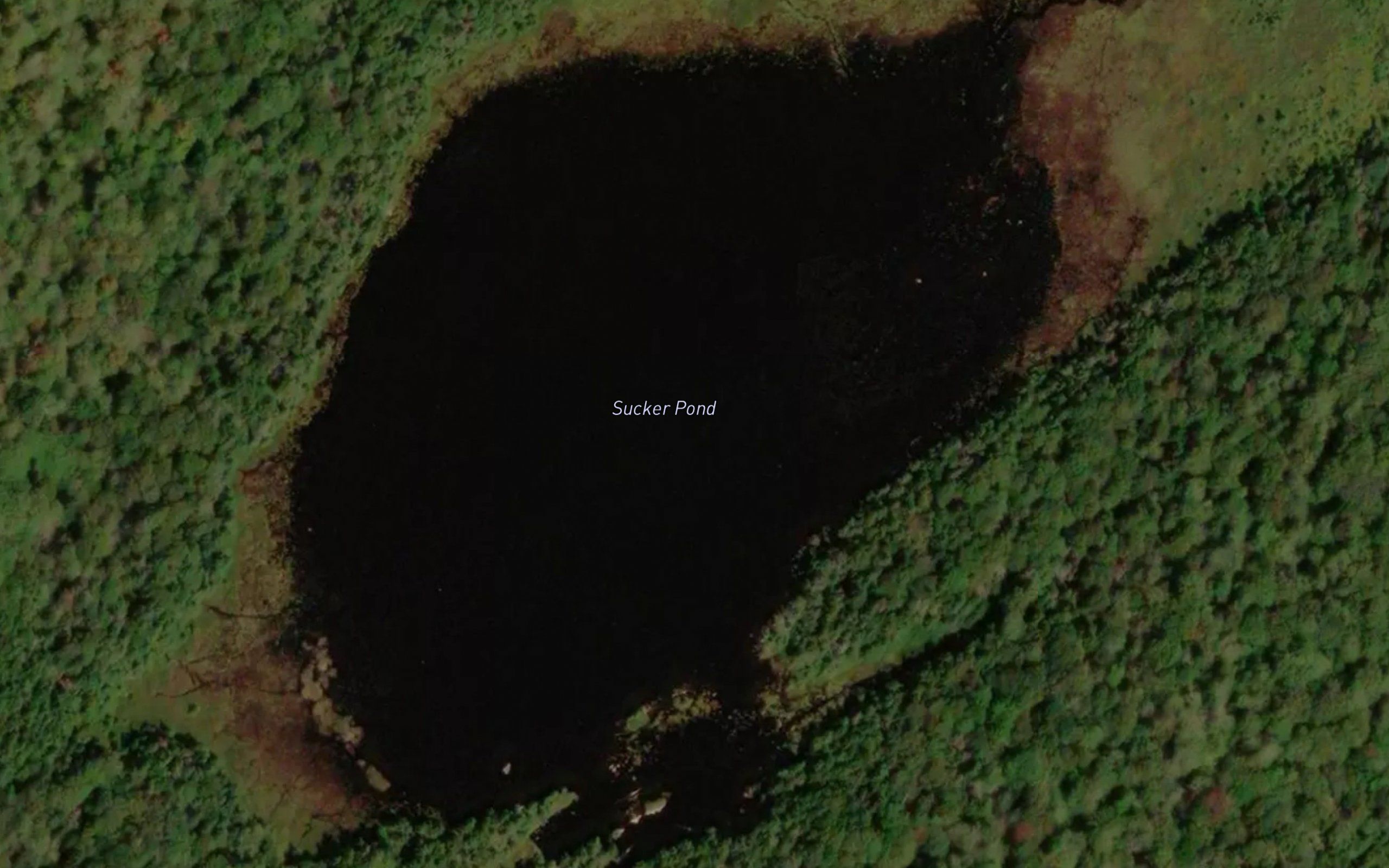 Sucker Pond