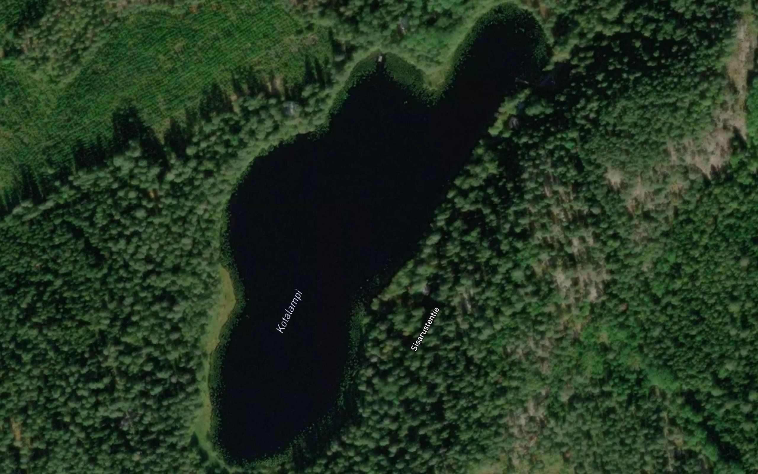 Kotalampi