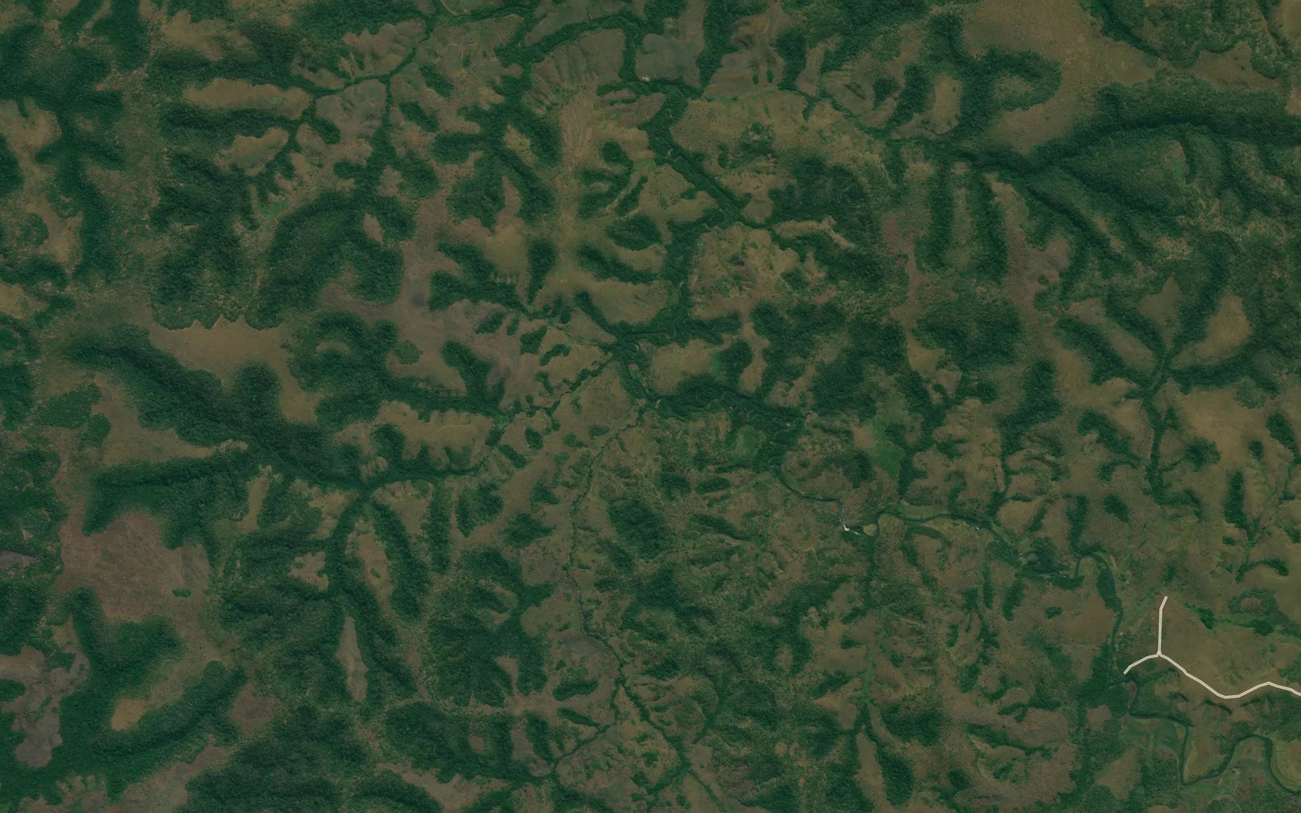 Cacuango