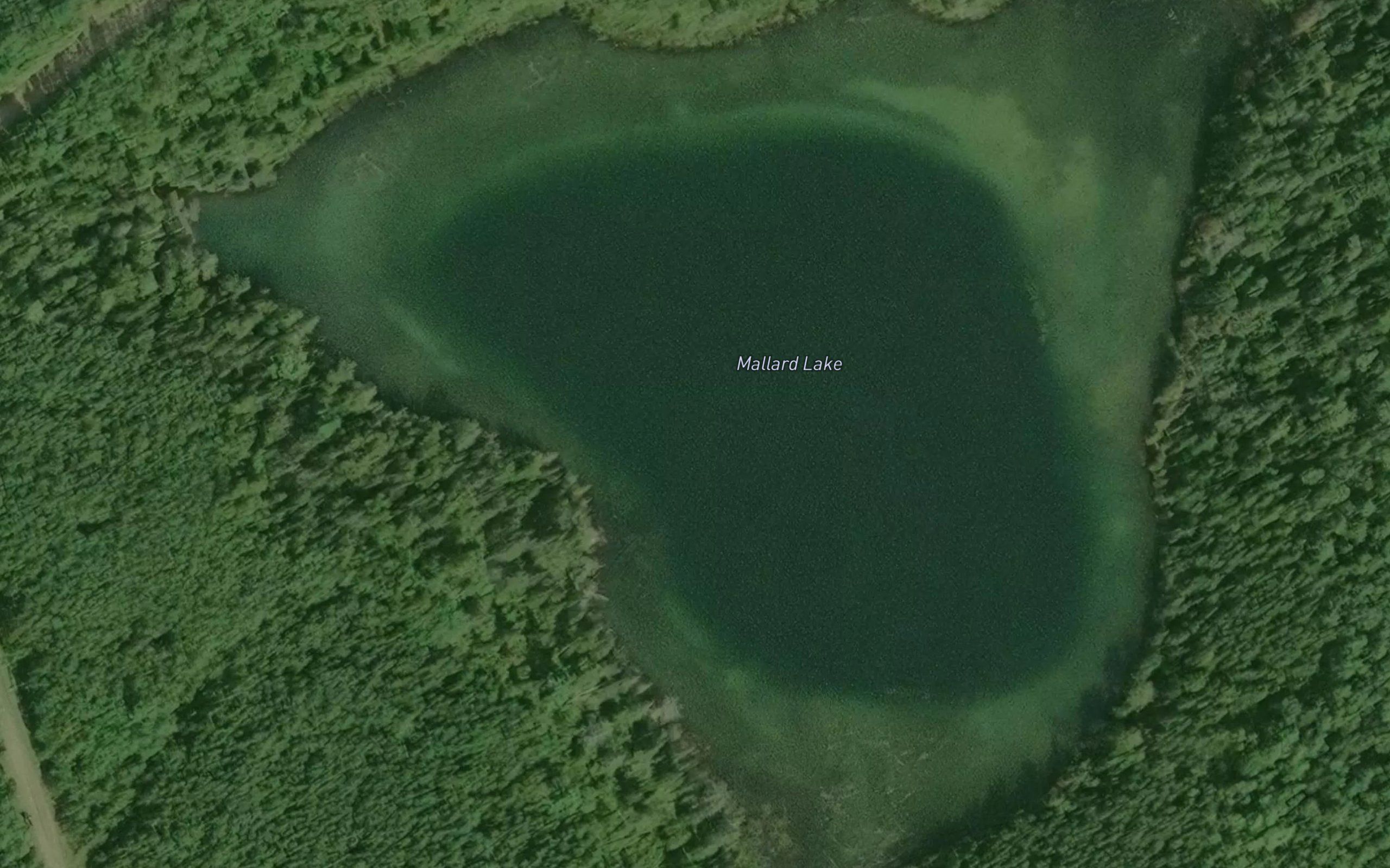 Mallard Lake