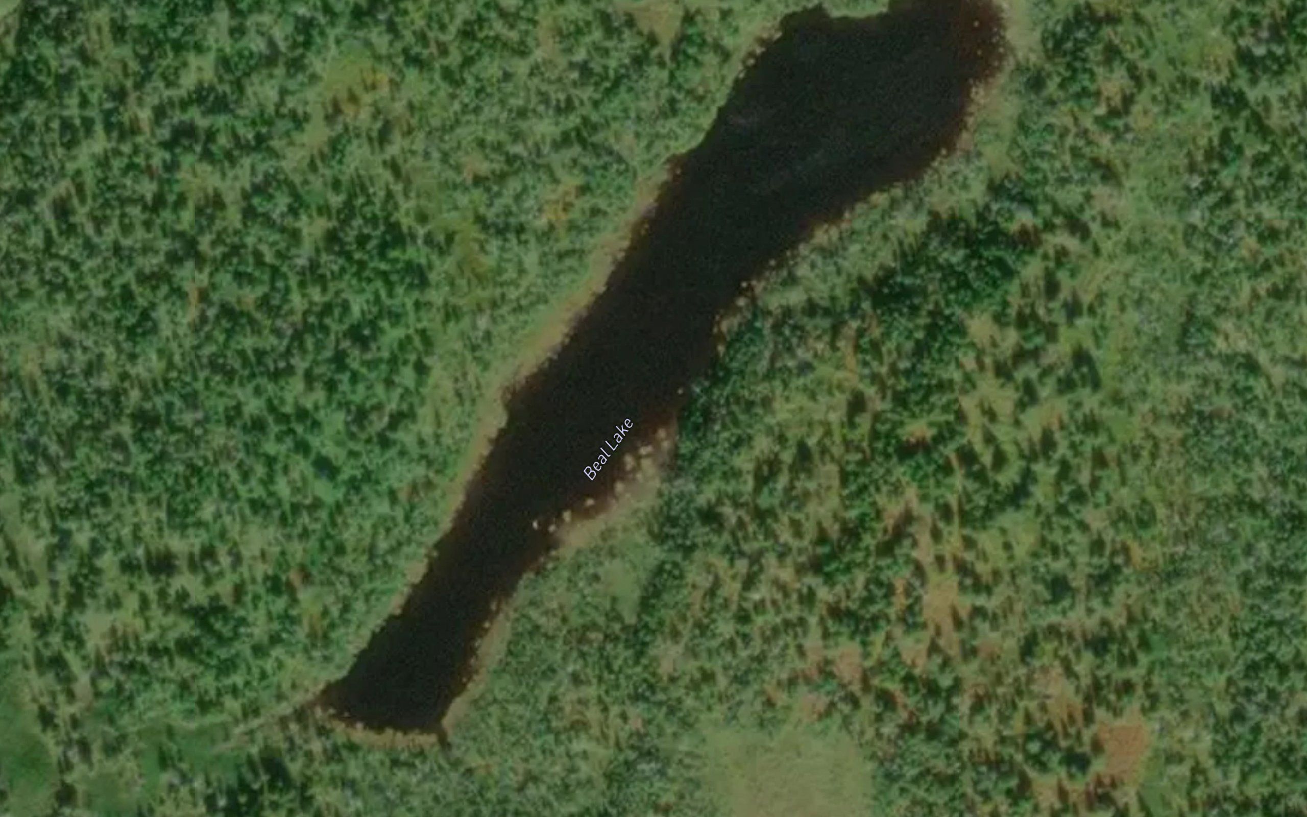 Beal Lake
